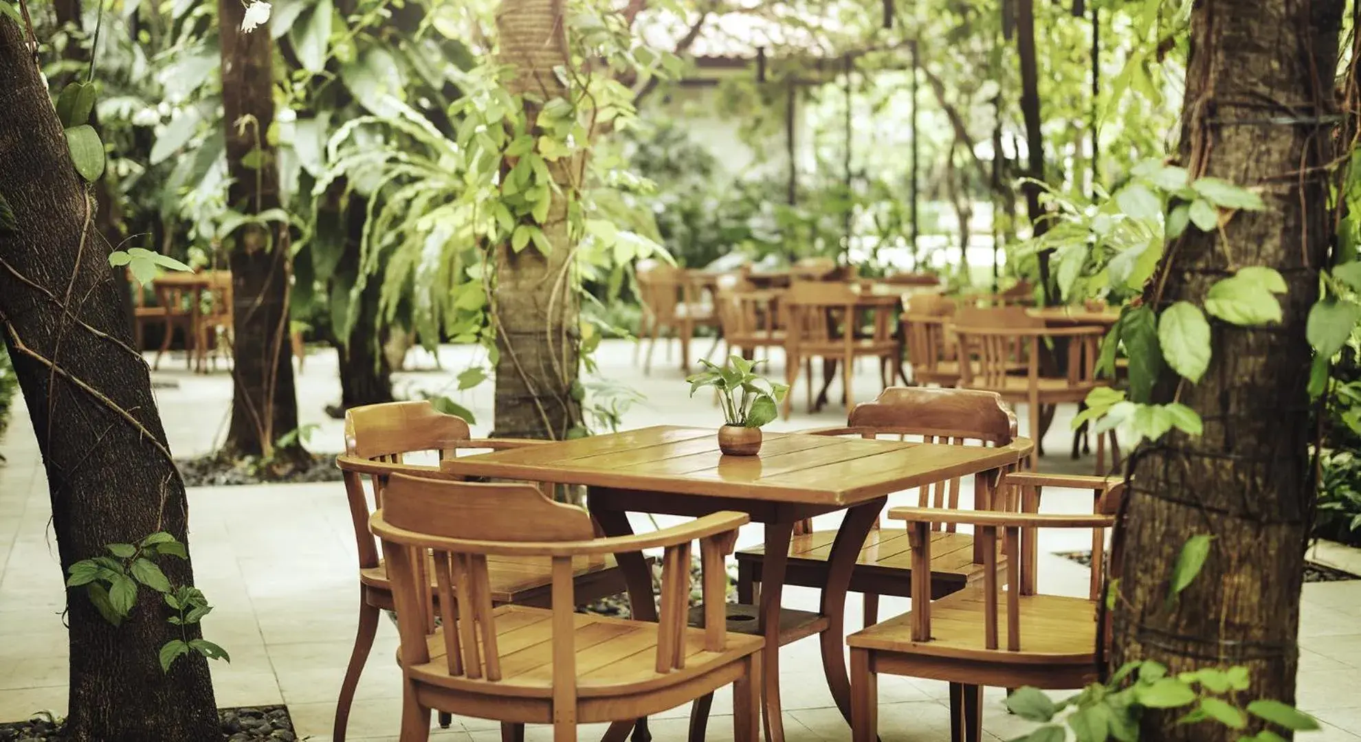 Garden, Restaurant/Places to Eat in The Dharmawangsa Jakarta