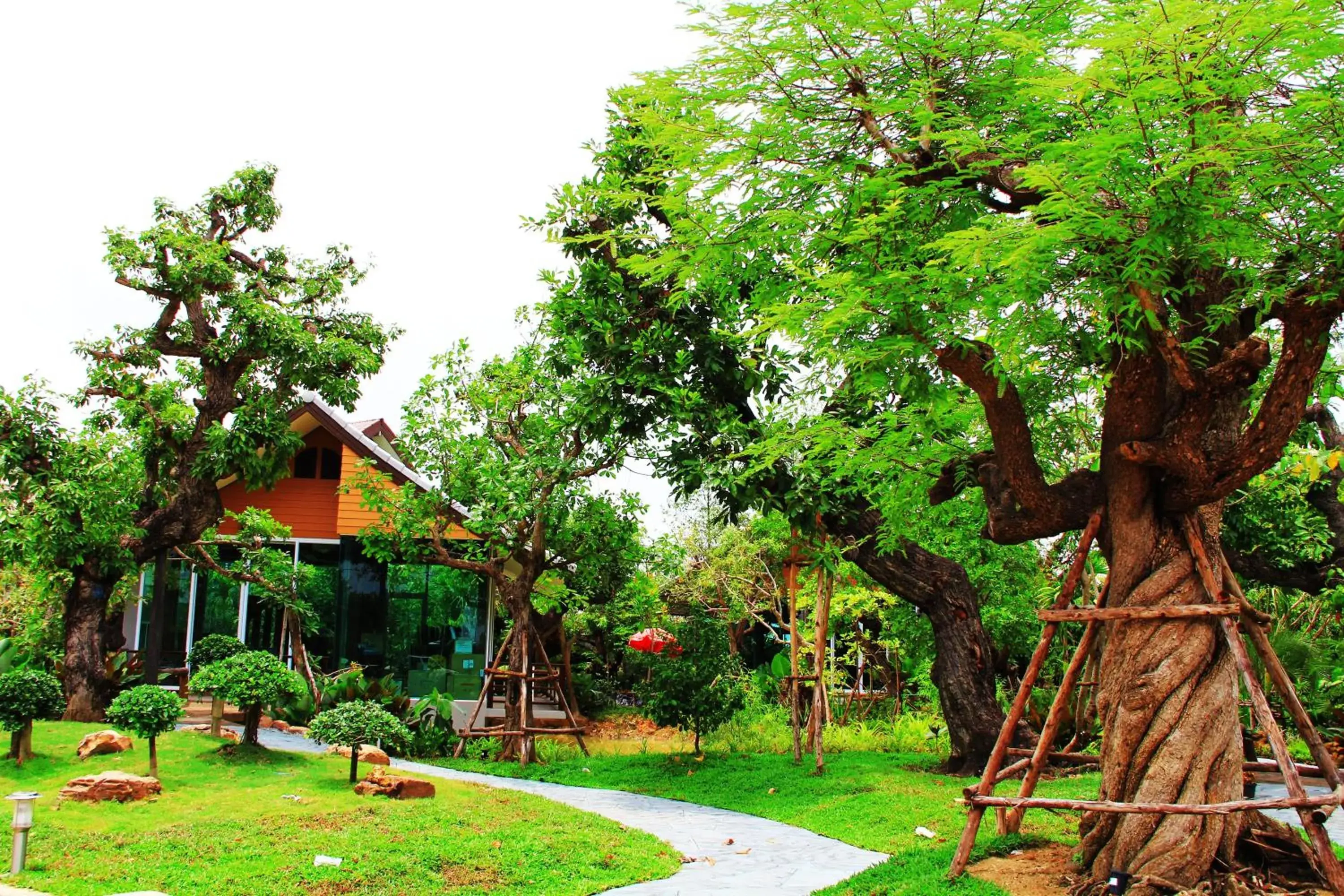 Area and facilities, Garden in Taman Resort