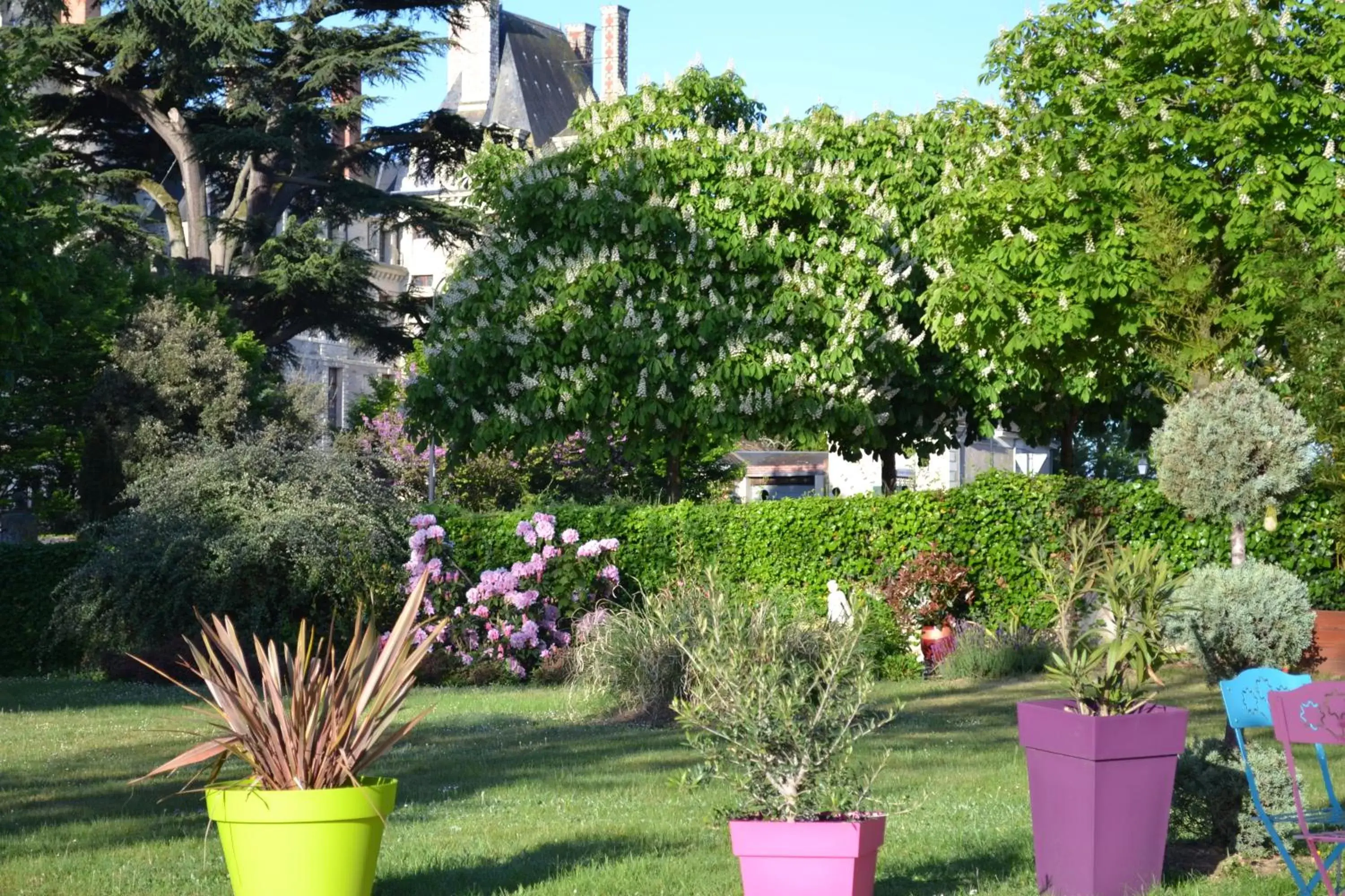 Patio, Garden in Hôtel Le Castel