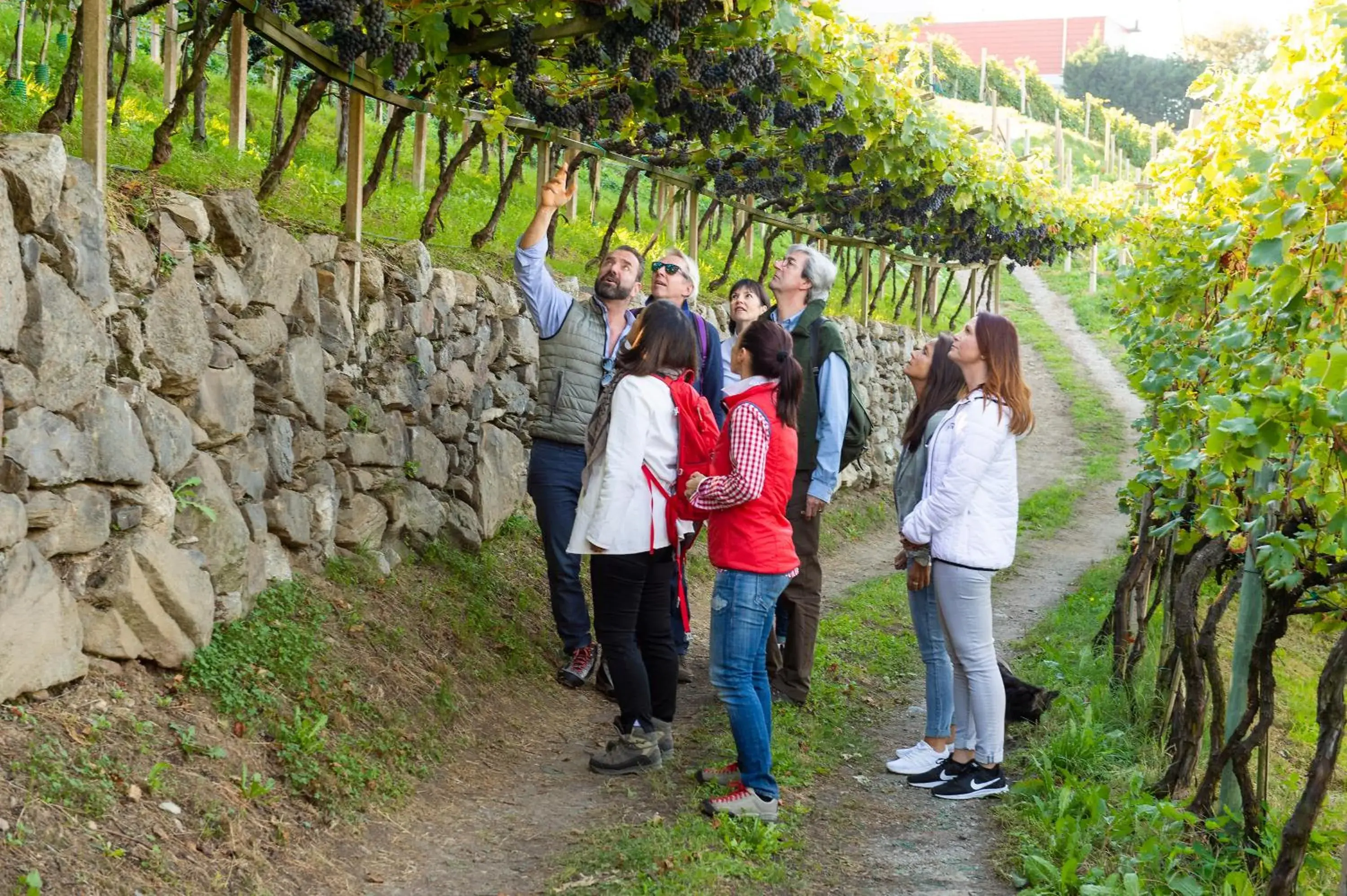 Natural landscape in Hotel Der Weinmesser