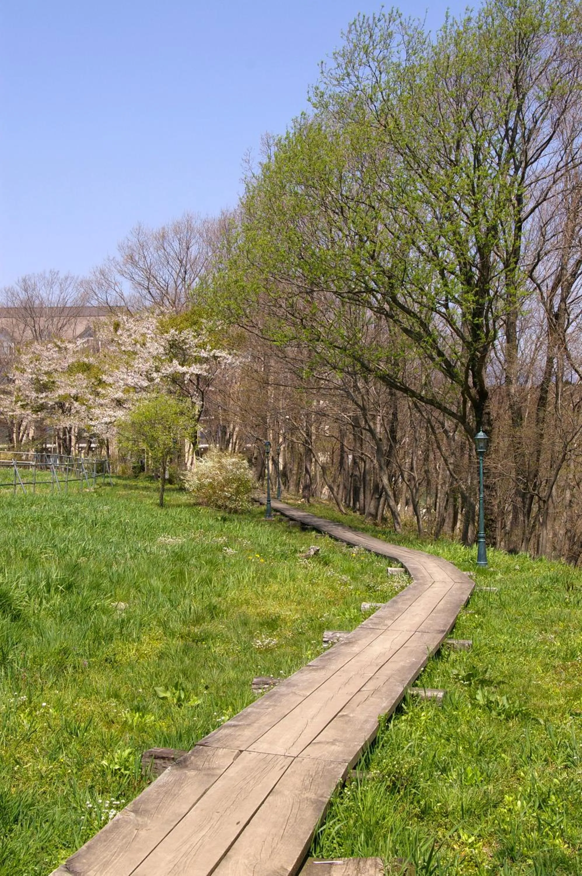 Decorative detail in Hotel Floracion Nasu