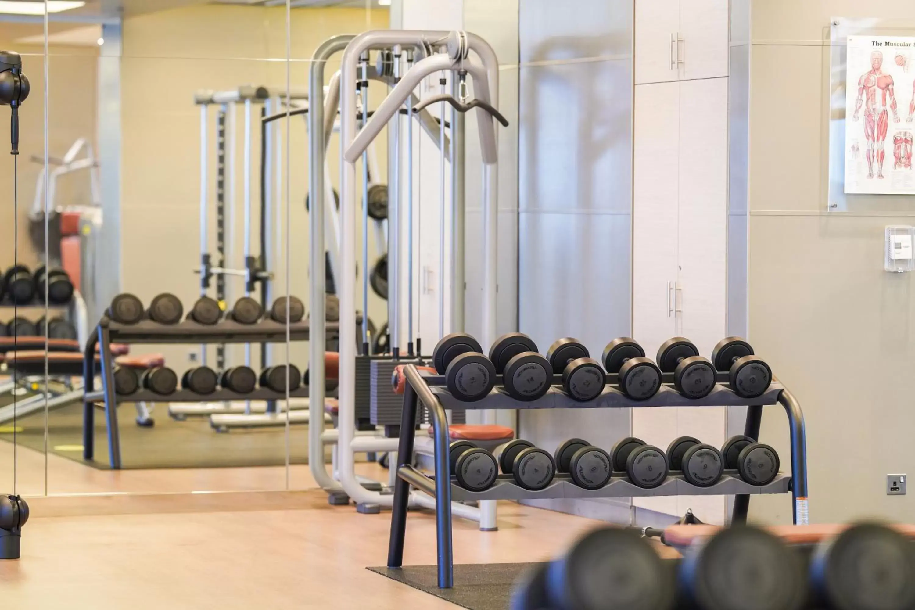Fitness centre/facilities, Fitness Center/Facilities in Hyatt Regency Dubai Creek Heights