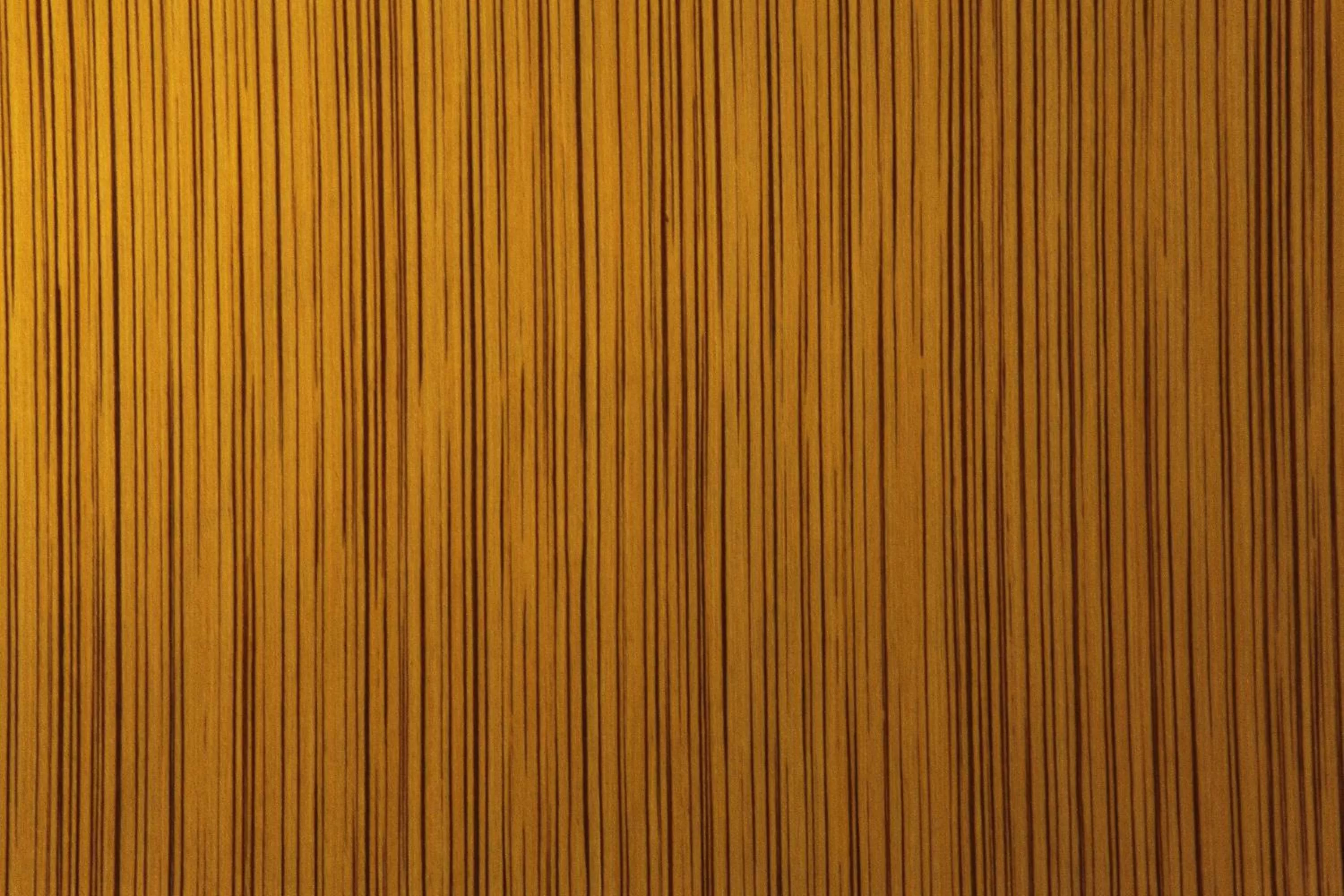 Area and facilities in Comfort Inn Legacy