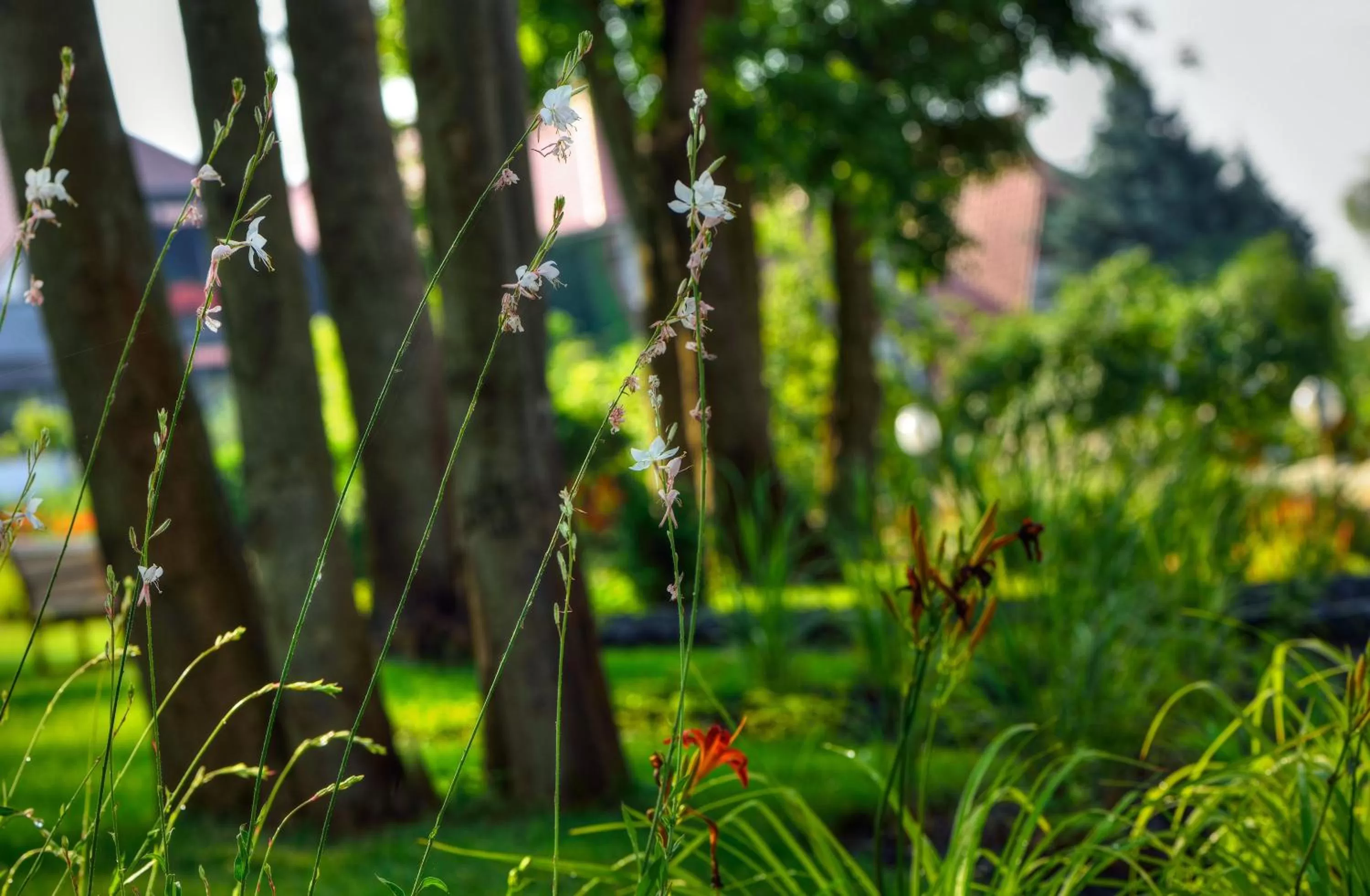 Facade/entrance in ARTHOTEL Kiebitzberg