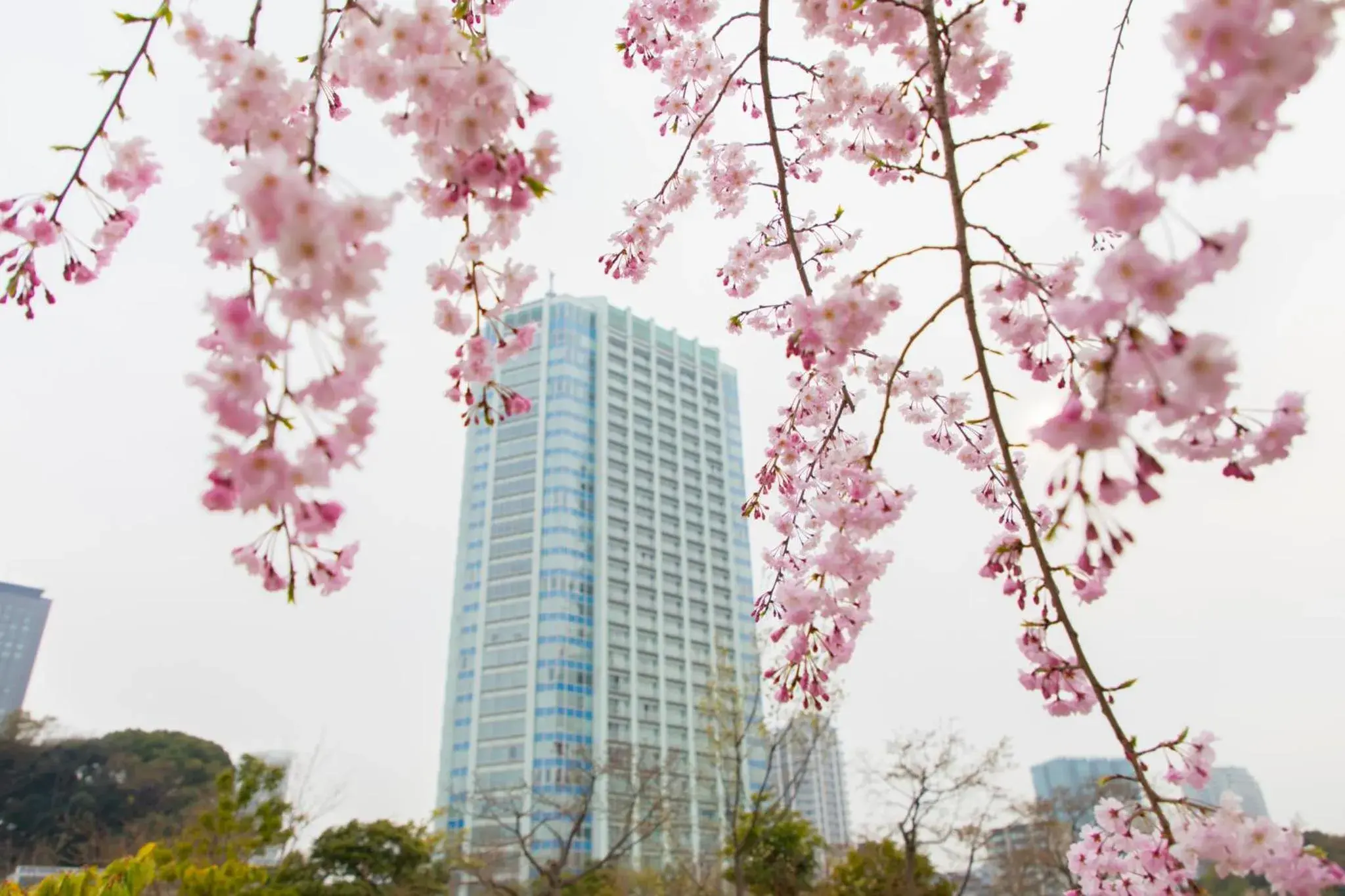 Property Building in The Prince Park Tower Tokyo