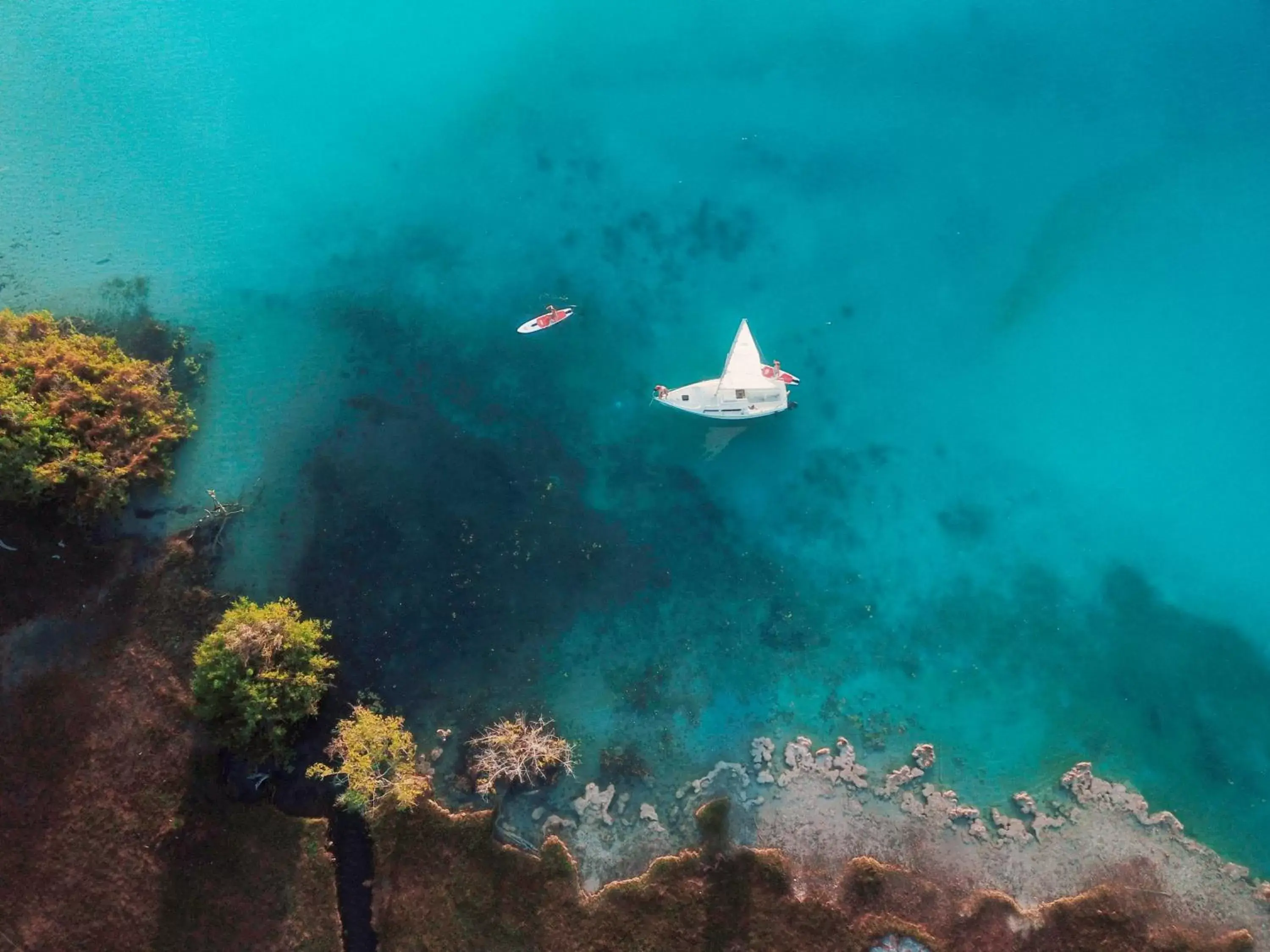 Activities, Bird's-eye View in Our Habitas Bacalar