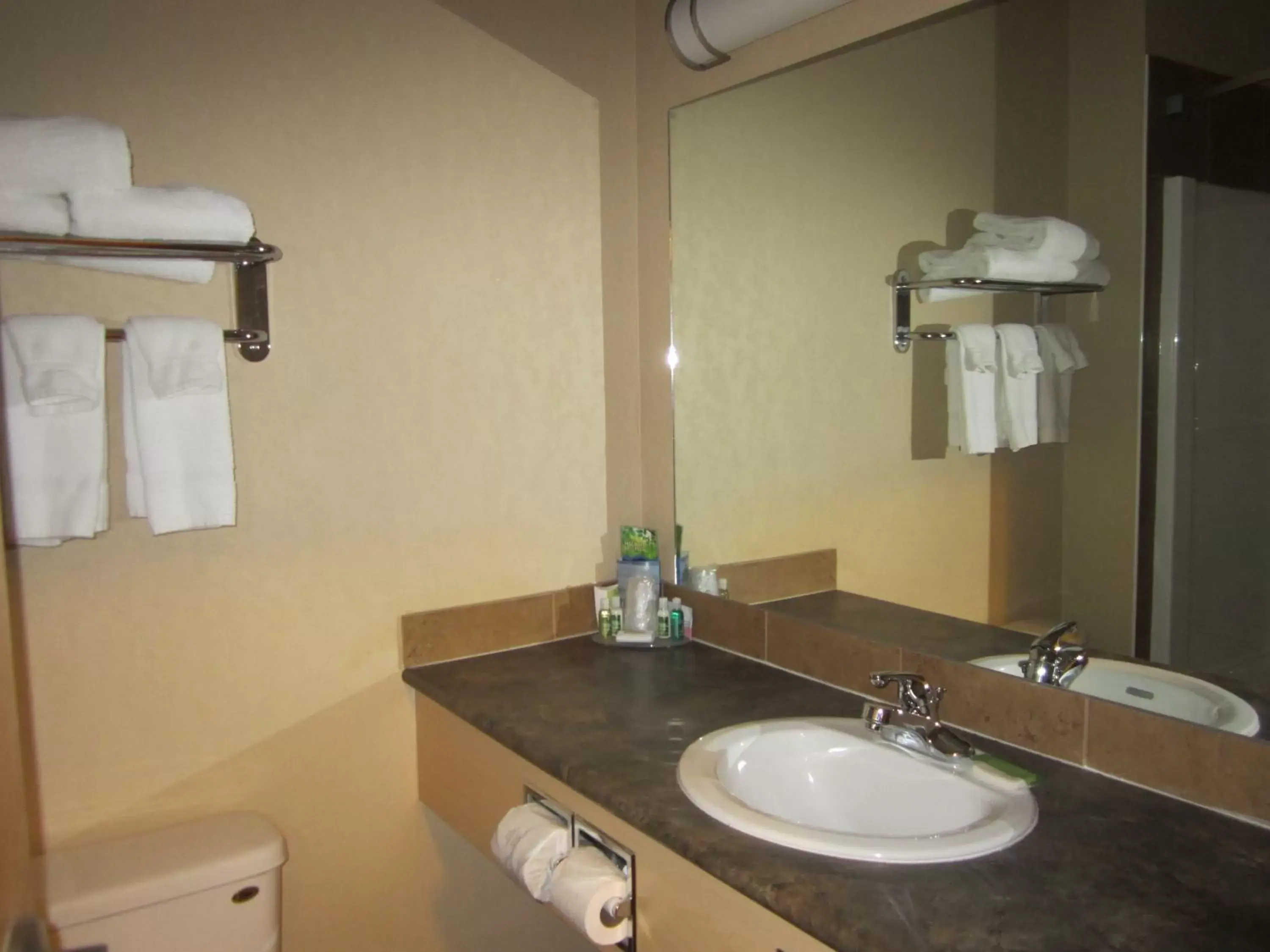 Bathroom in Lakeview Inns & Suites - Fort Nelson