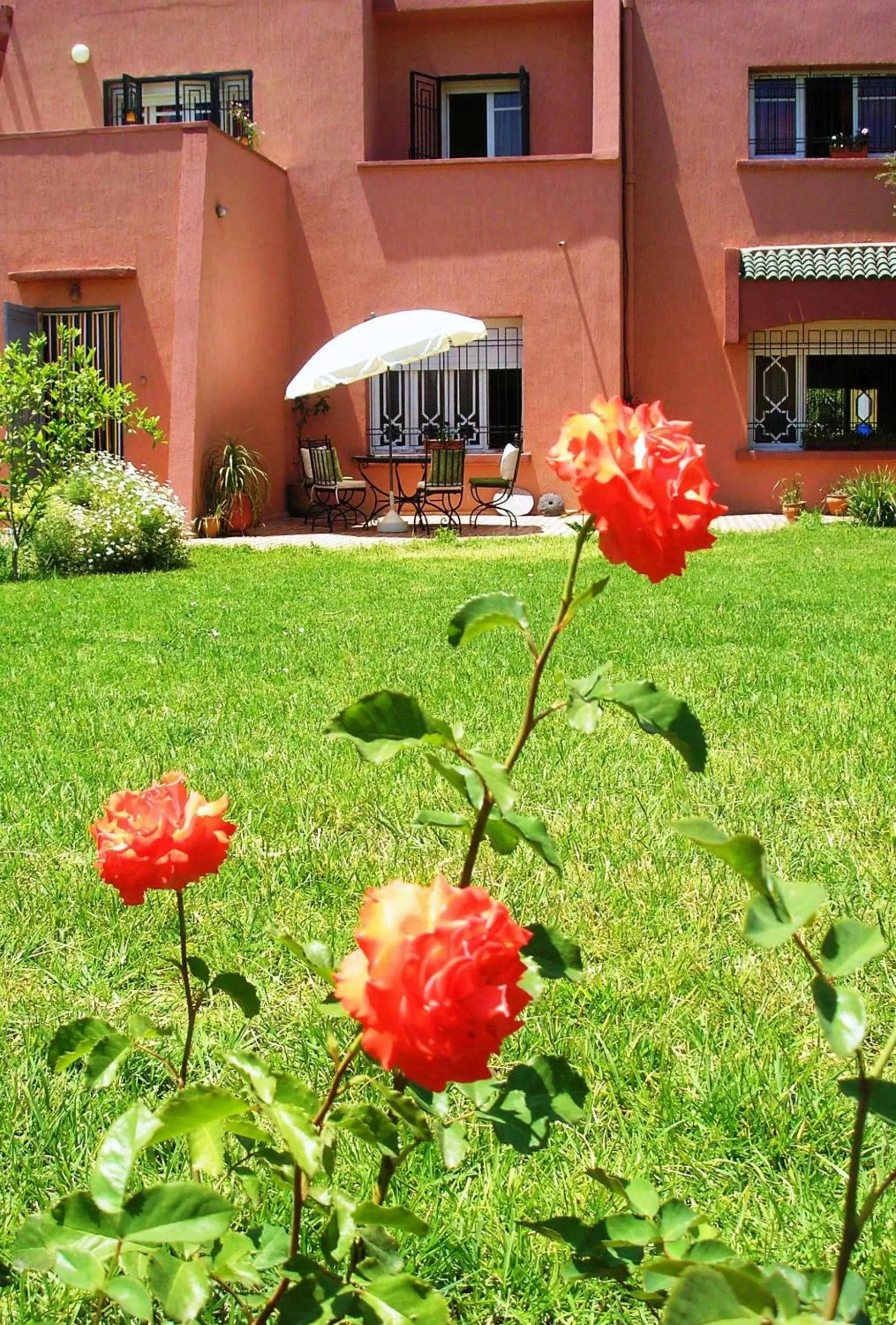 Garden view in Riad Dar Zidane