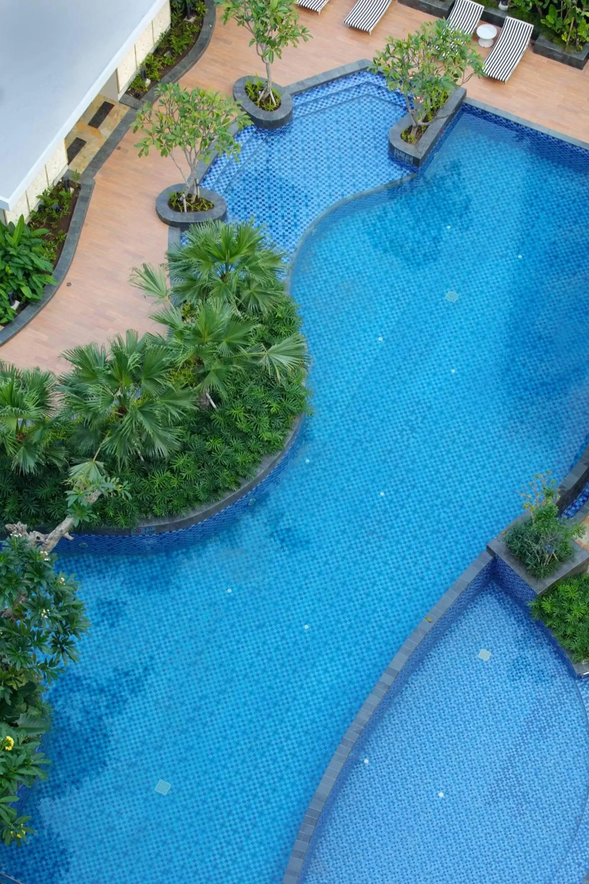 Swimming pool, Pool View in Four Points by Sheraton Surabaya, Tunjungan Plaza