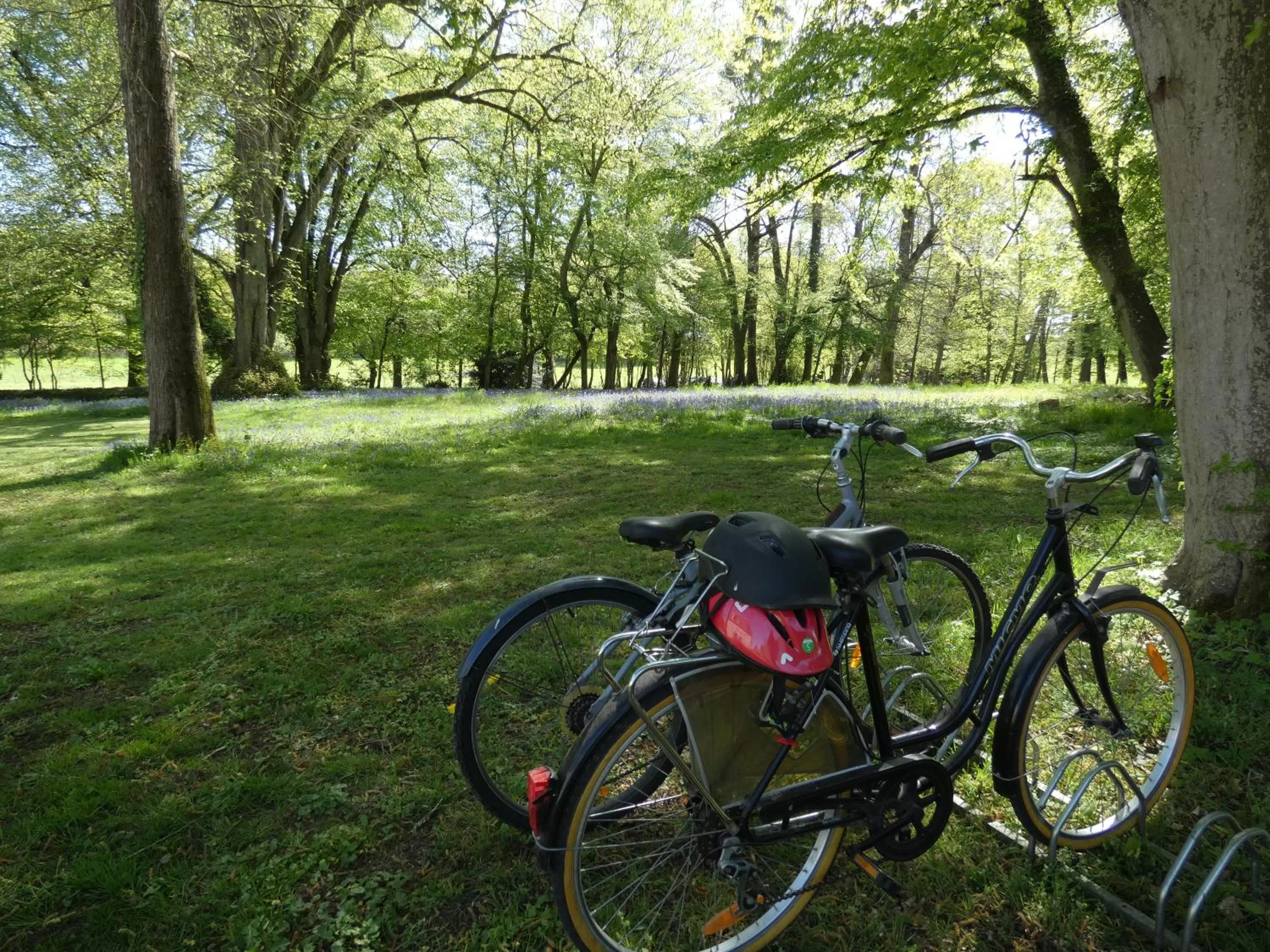 Garden in Hôtel des 4 continents - Le Mans