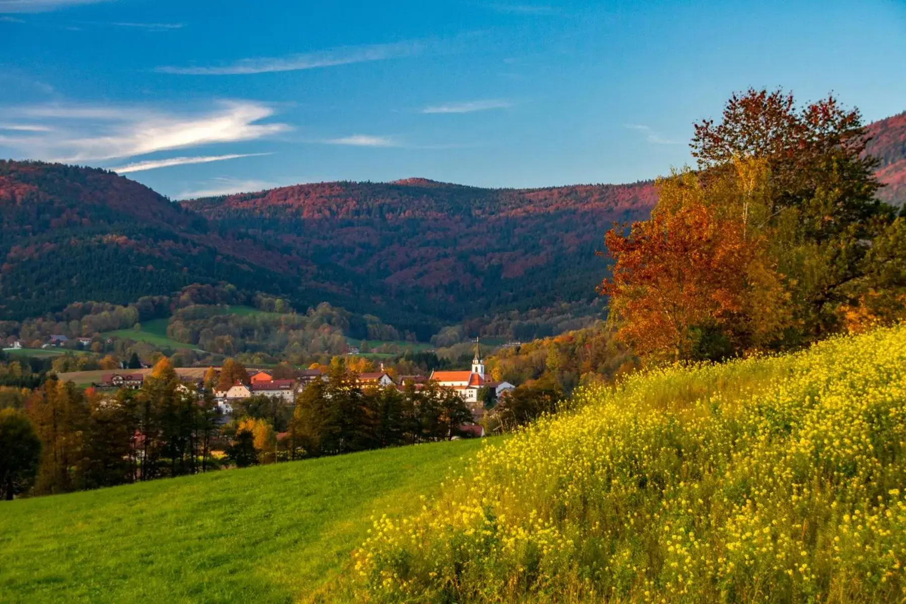 Natural landscape in Bernrieder Hof