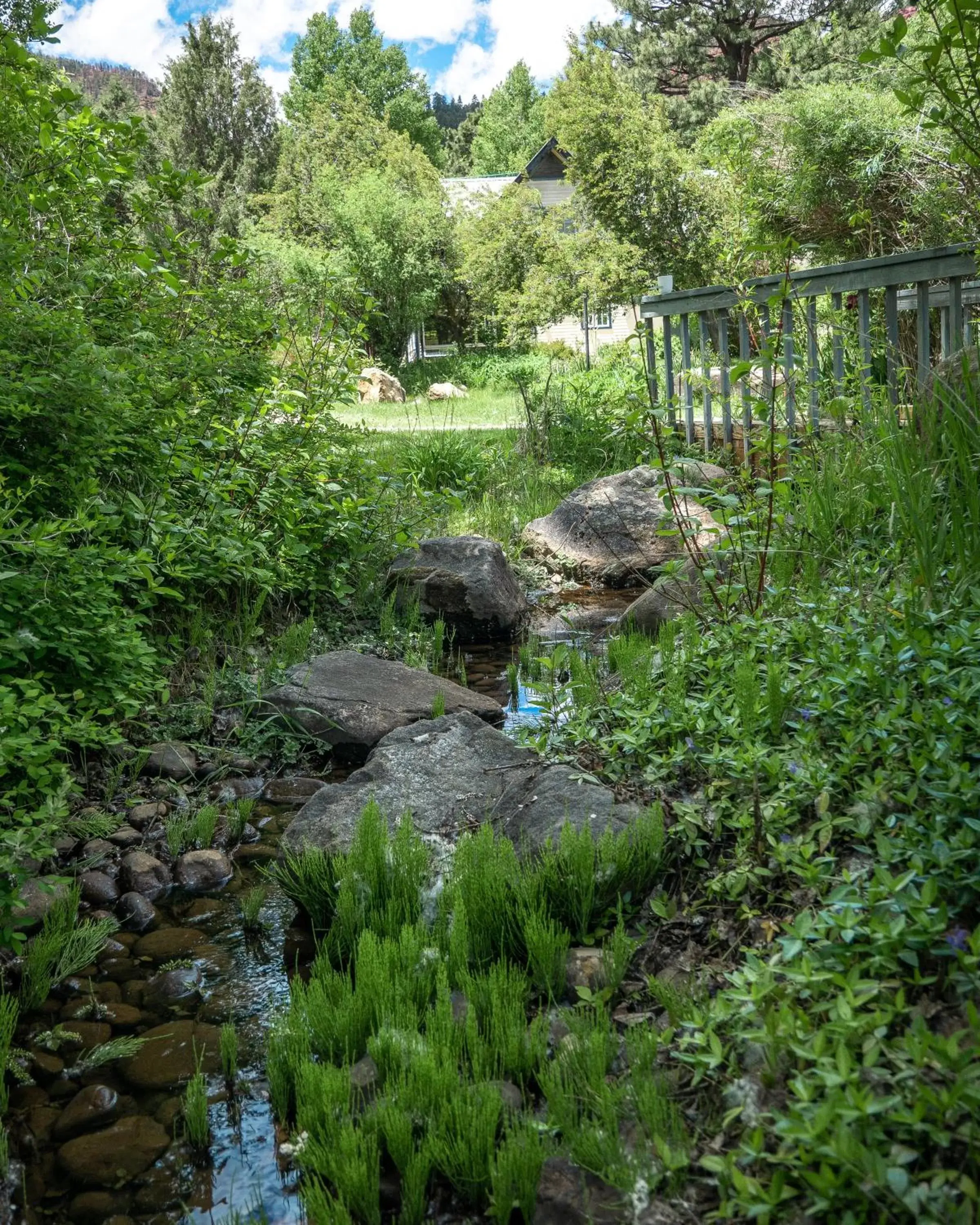 View (from property/room), Other Animals in Apple Orchard Inn