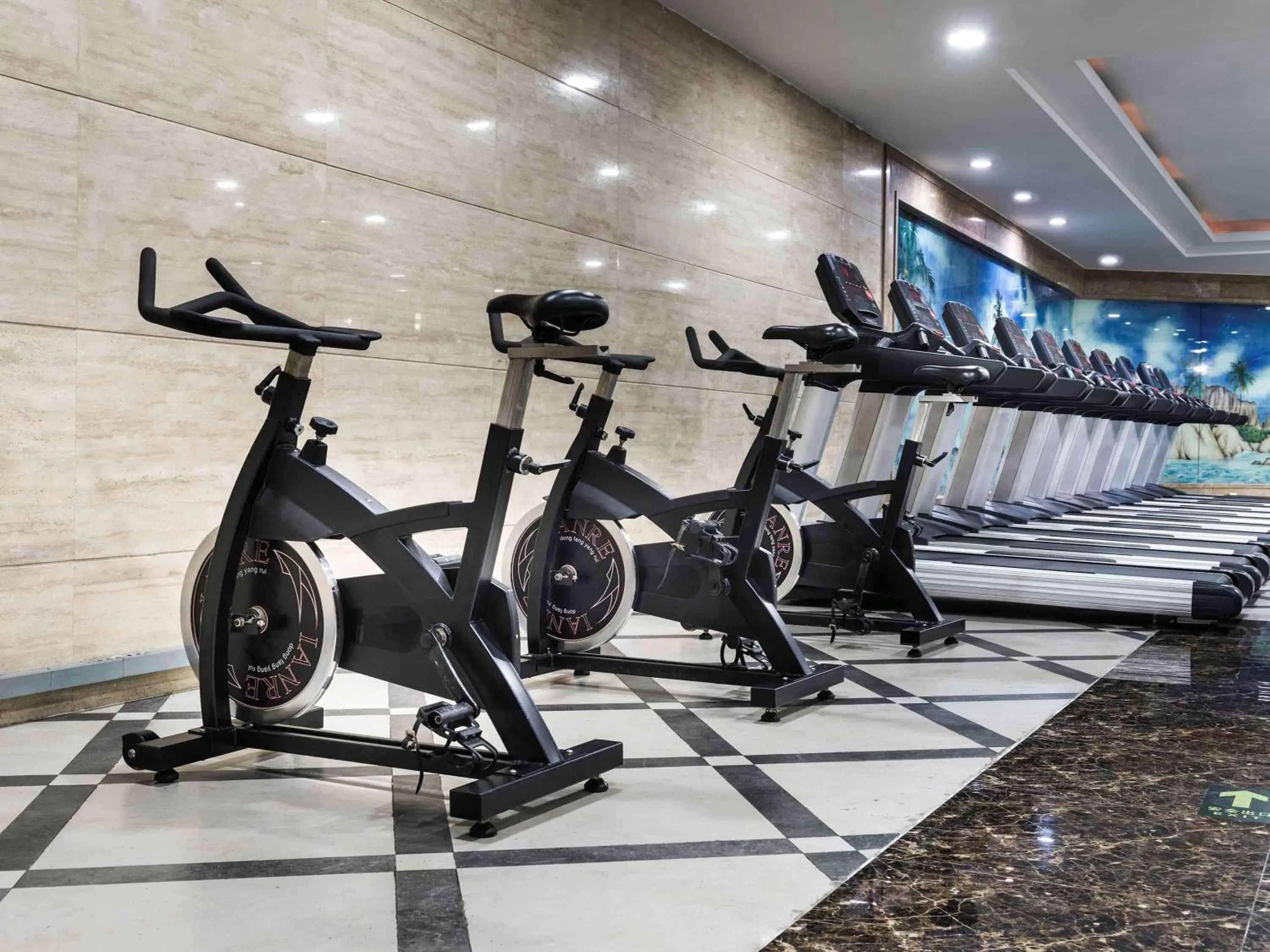 Fitness centre/facilities, Fitness Center/Facilities in Pullman Beijing South