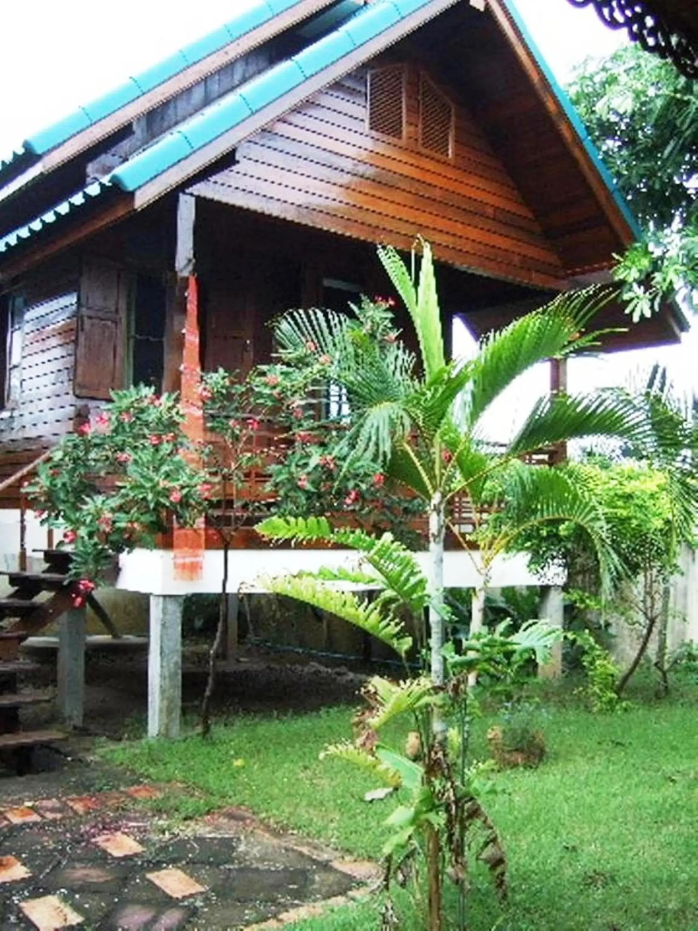 Garden in TR Guesthouse