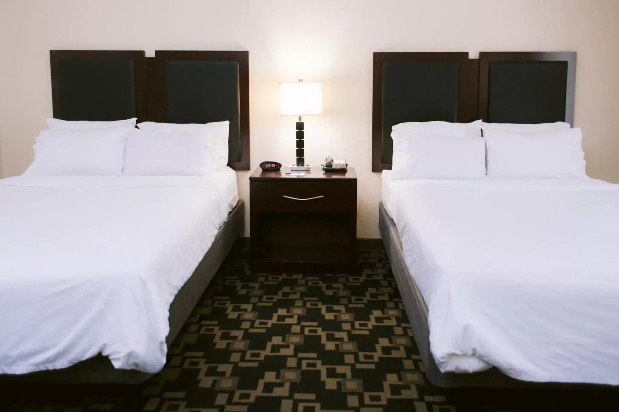 Photo of the whole room, Bed in Holiday Inn Express Hotel Raleigh Southwest, an IHG Hotel