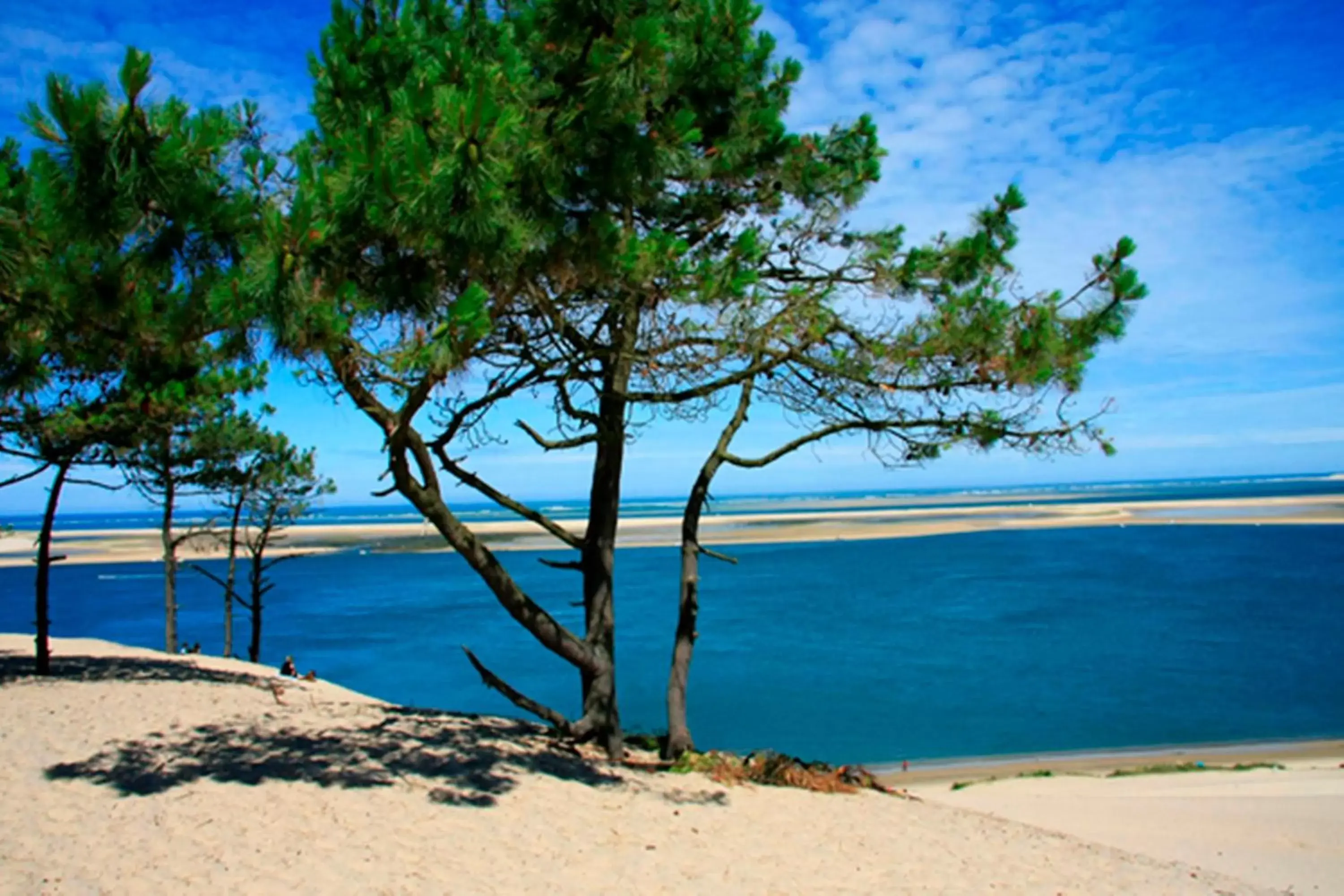 Fitness centre/facilities, Beach in Holiday Inn Bordeaux Sud - Pessac, an IHG Hotel