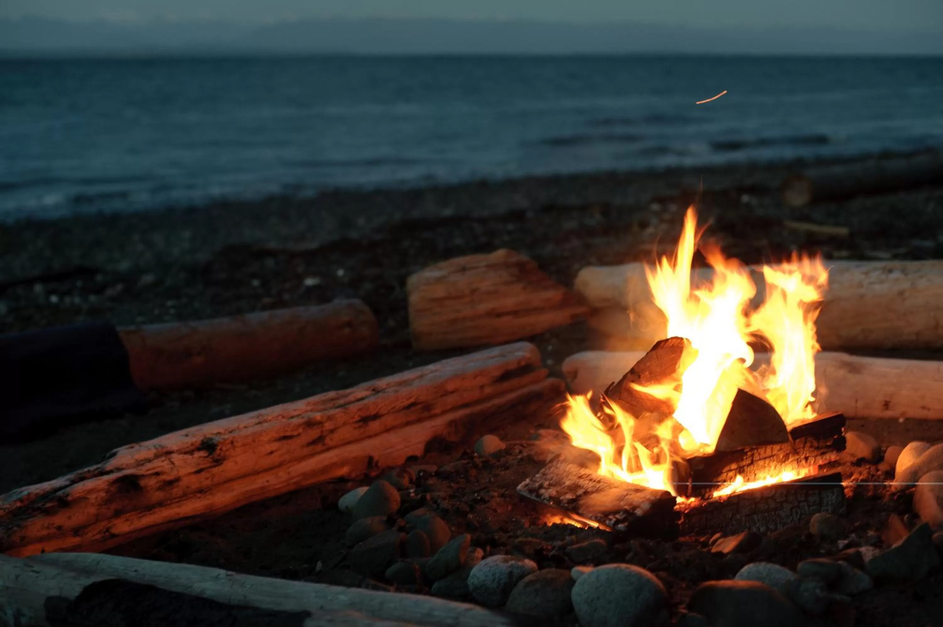 Area and facilities in Ocean Resort