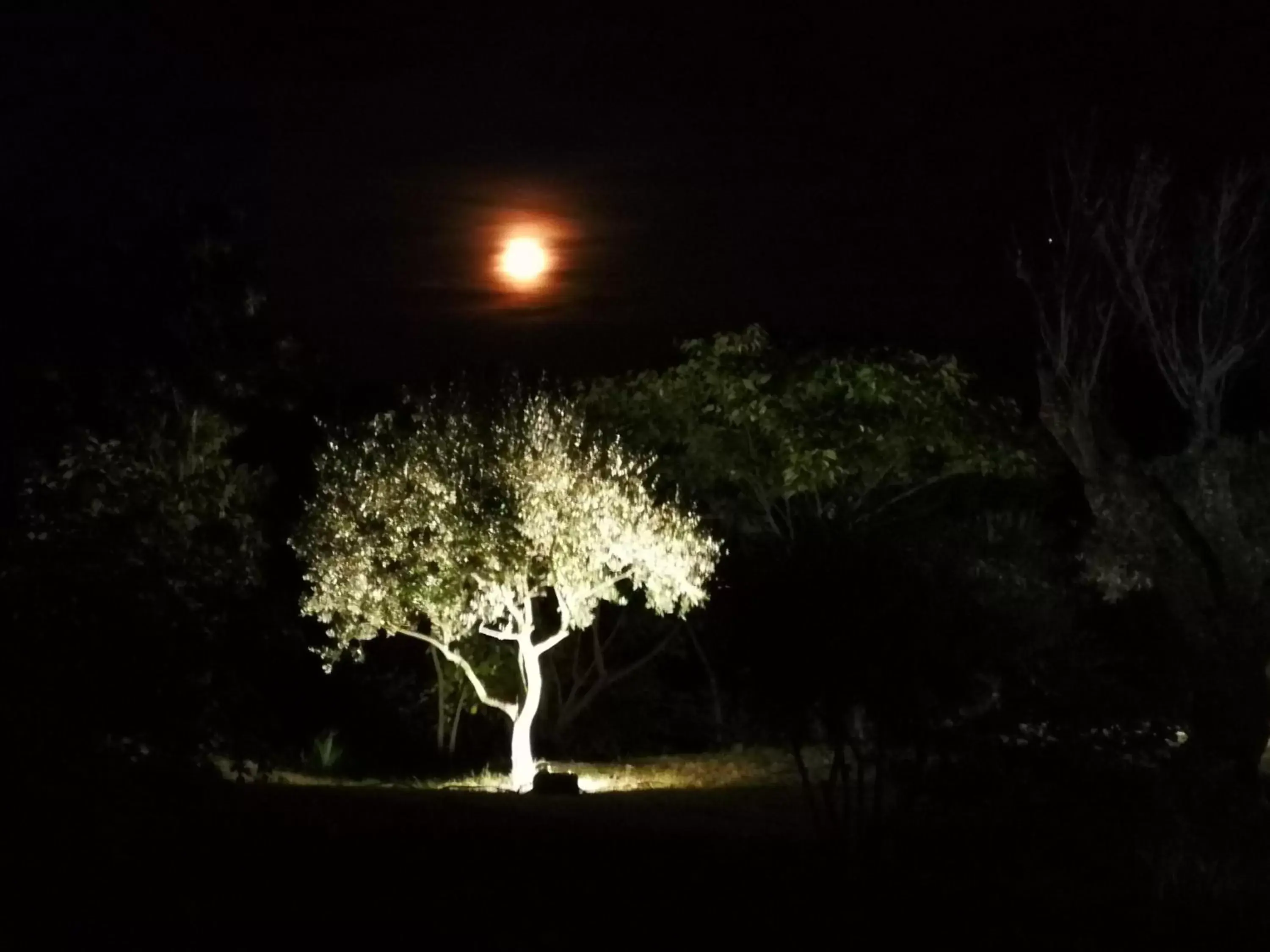 La Bastide du Limon