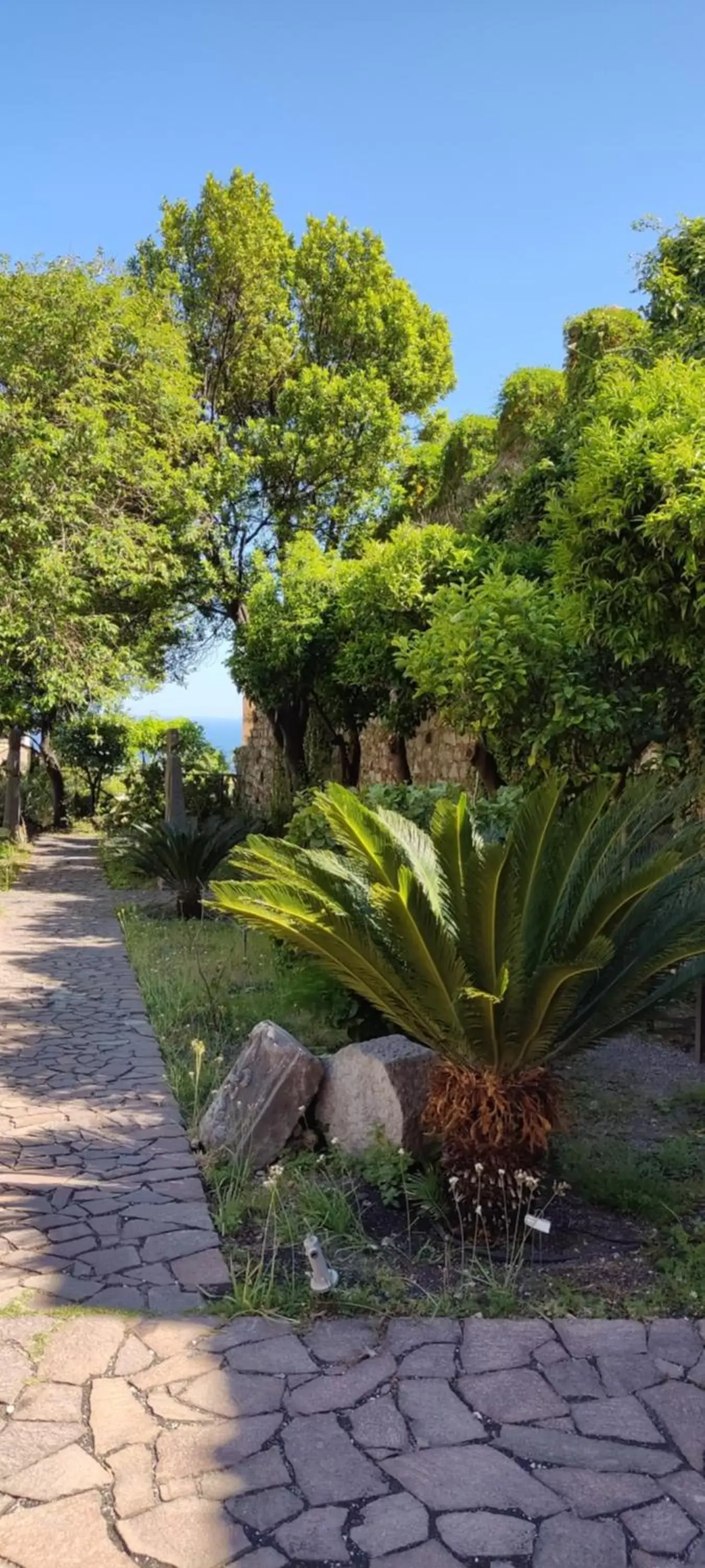 Garden in B&B AKROPOLIS