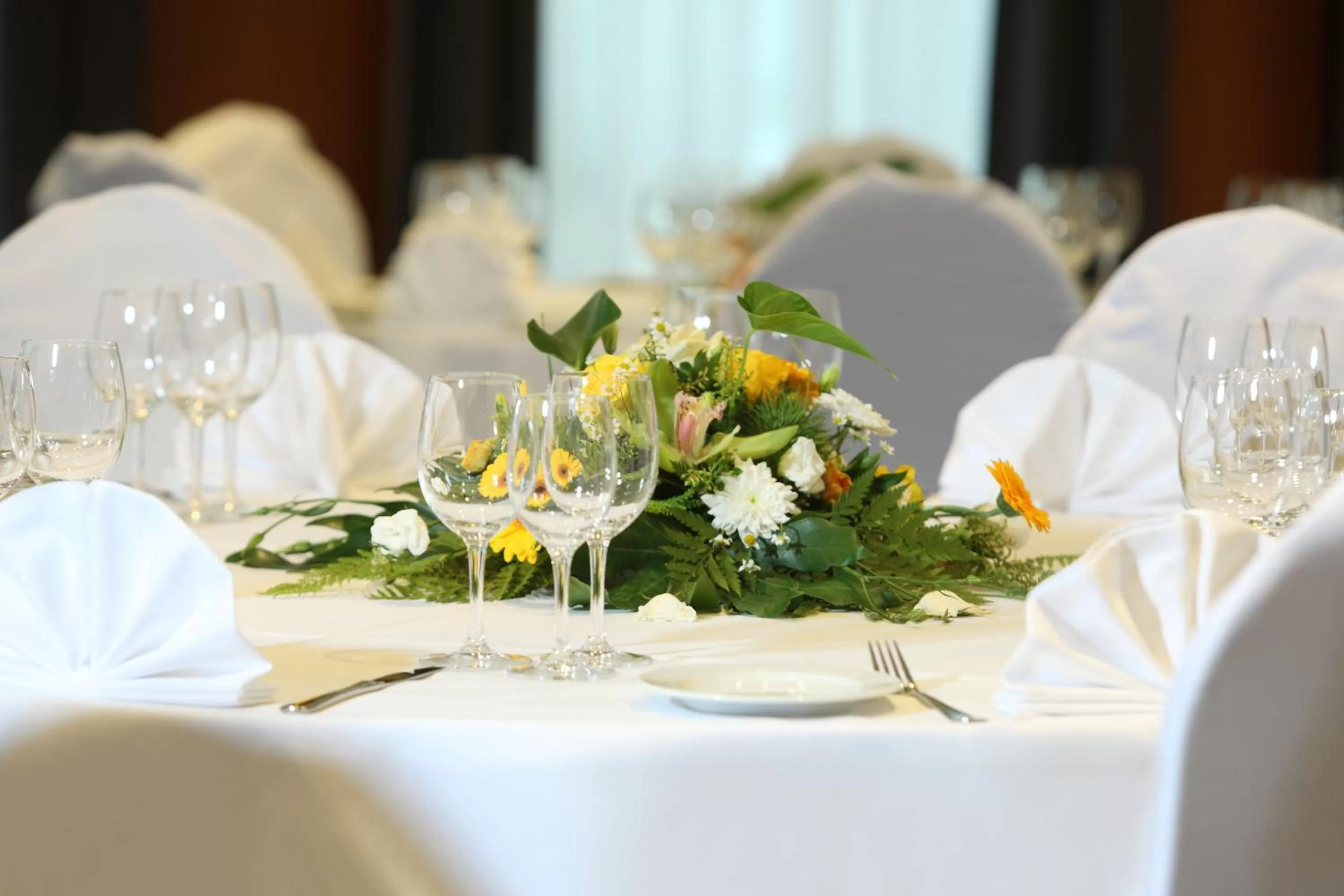 Banquet/Function facilities in ibis Styles Luzern