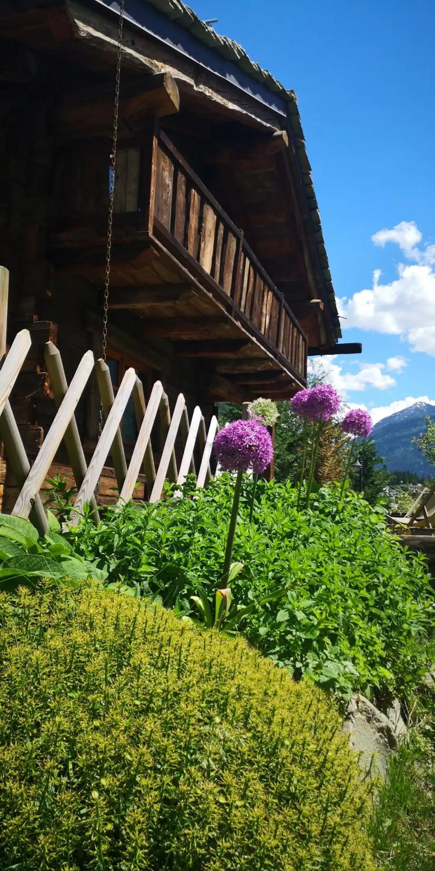 Facade/entrance, Property Building in Hotel Chalet Svizzero