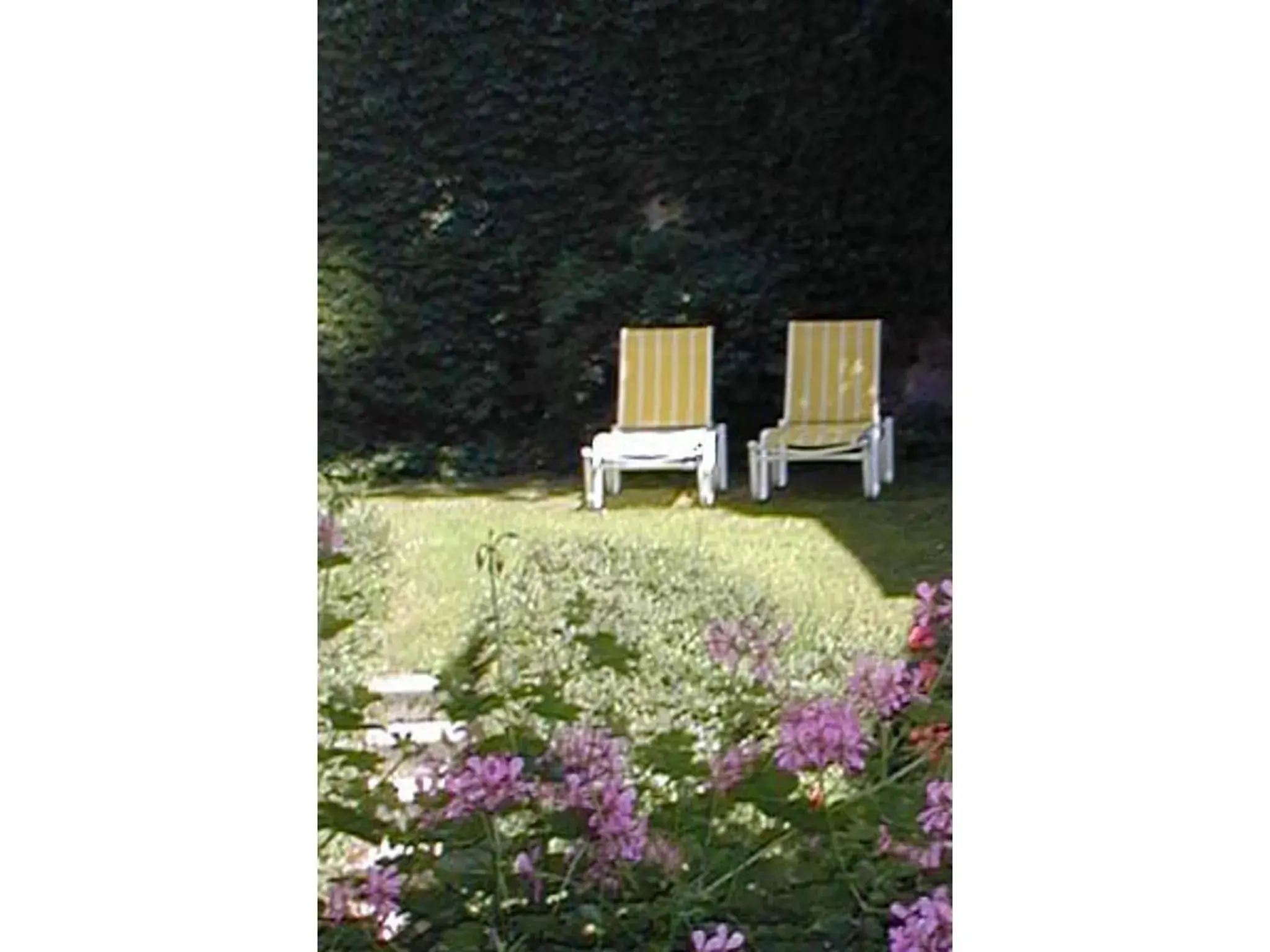 Summer, Garden in Hotel Agneshof Nürnberg