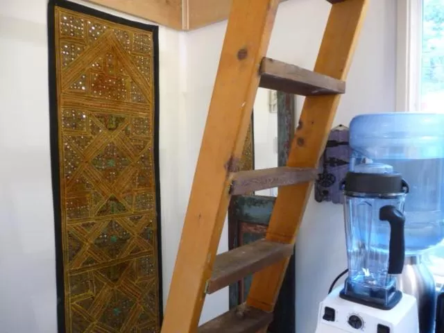 Other in Magnolia Petal