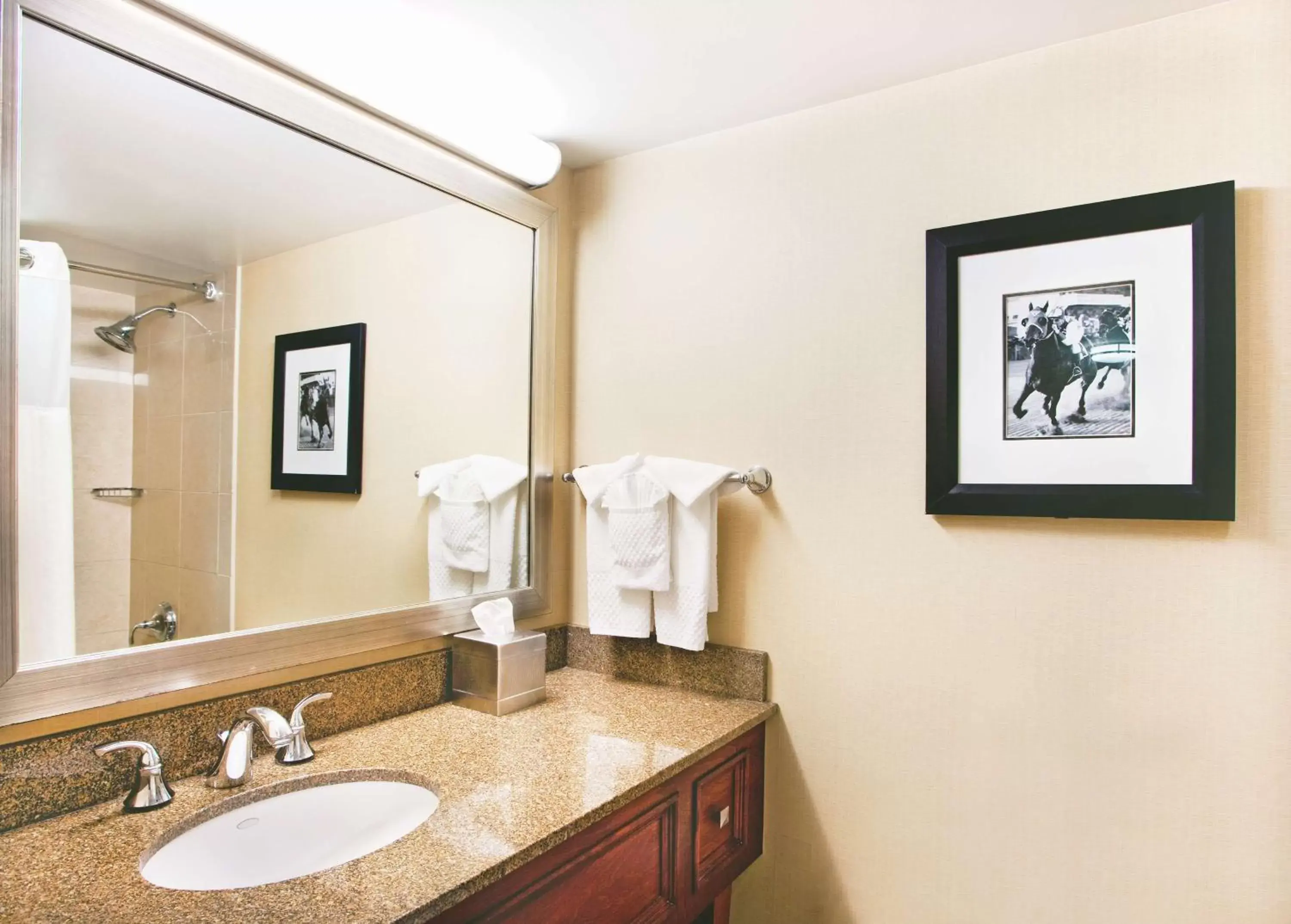 Bathroom in DoubleTree By Hilton Baltimore North Pikesville