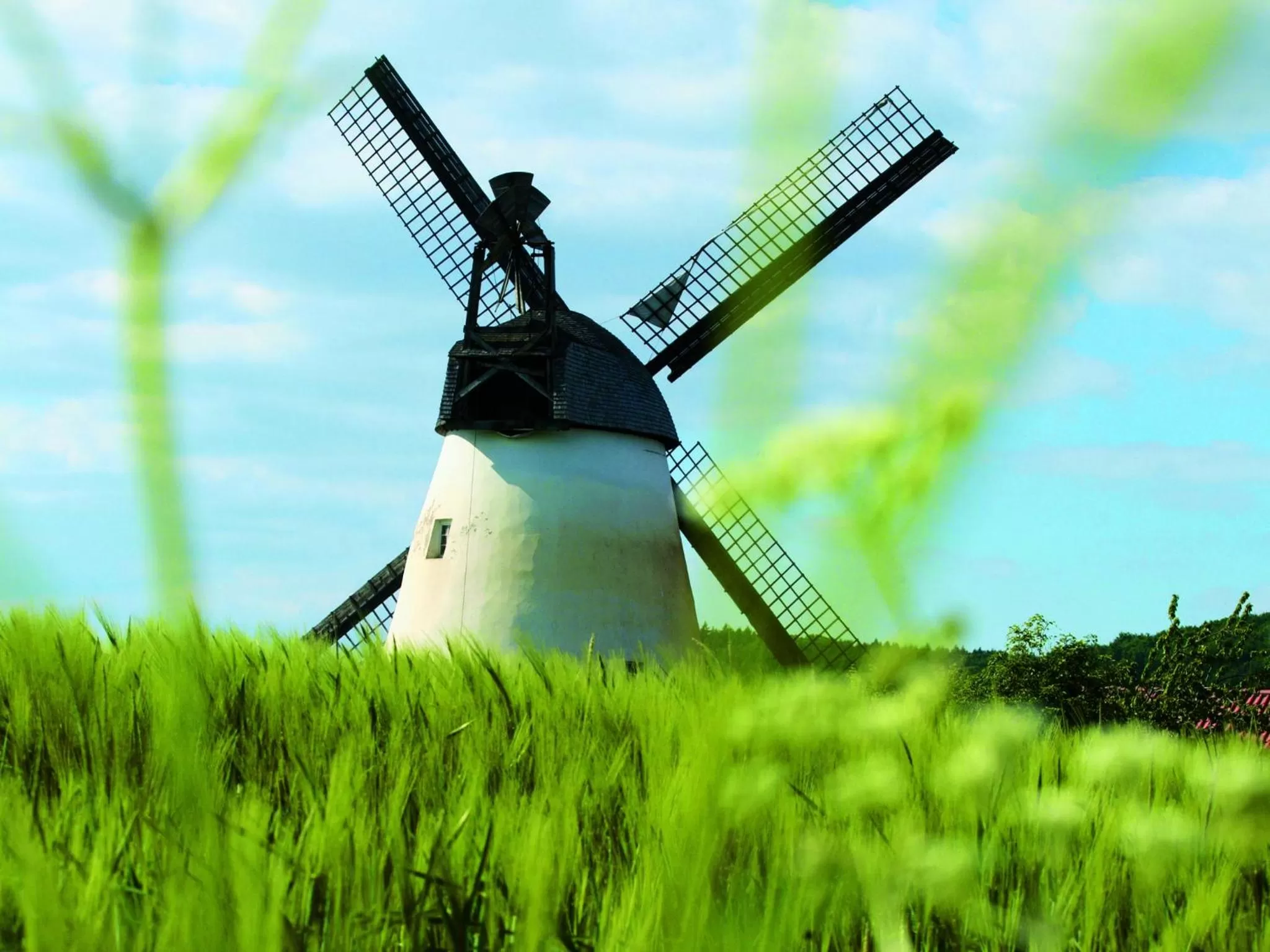 Natural landscape in Kurhaus Pivittskrug