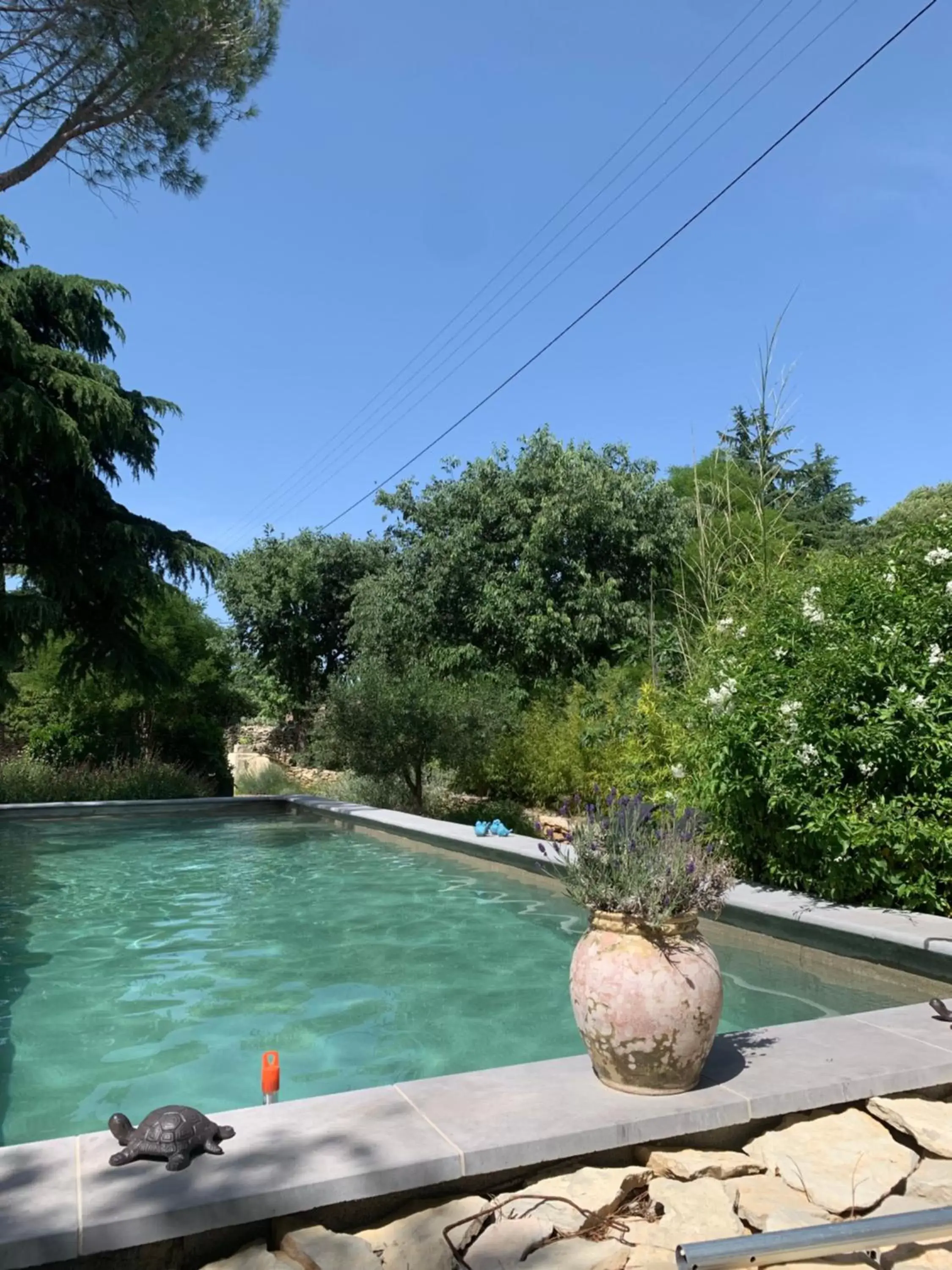 Swimming Pool in Chambres d'Hôtes Lovely Planette