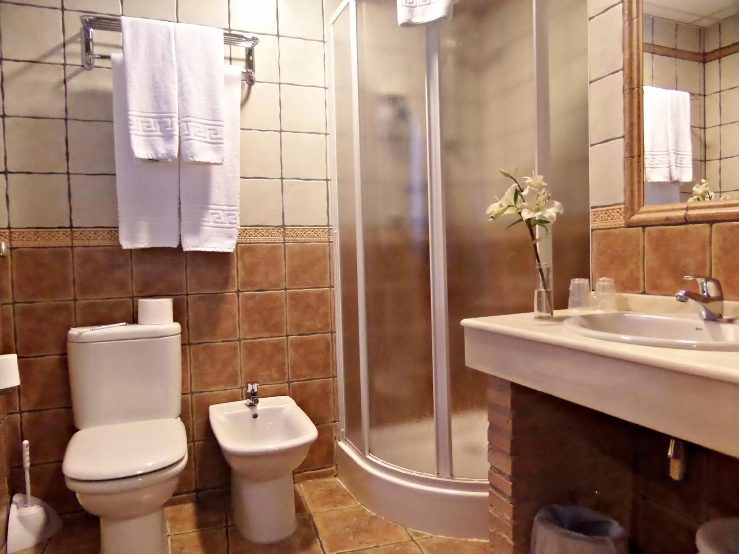 Decorative detail, Bathroom in Hotel Medina de Toledo