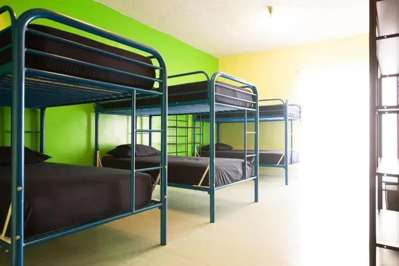 Bunk Bed in Banana Bungalow West Hollywood Hotel & Hostel