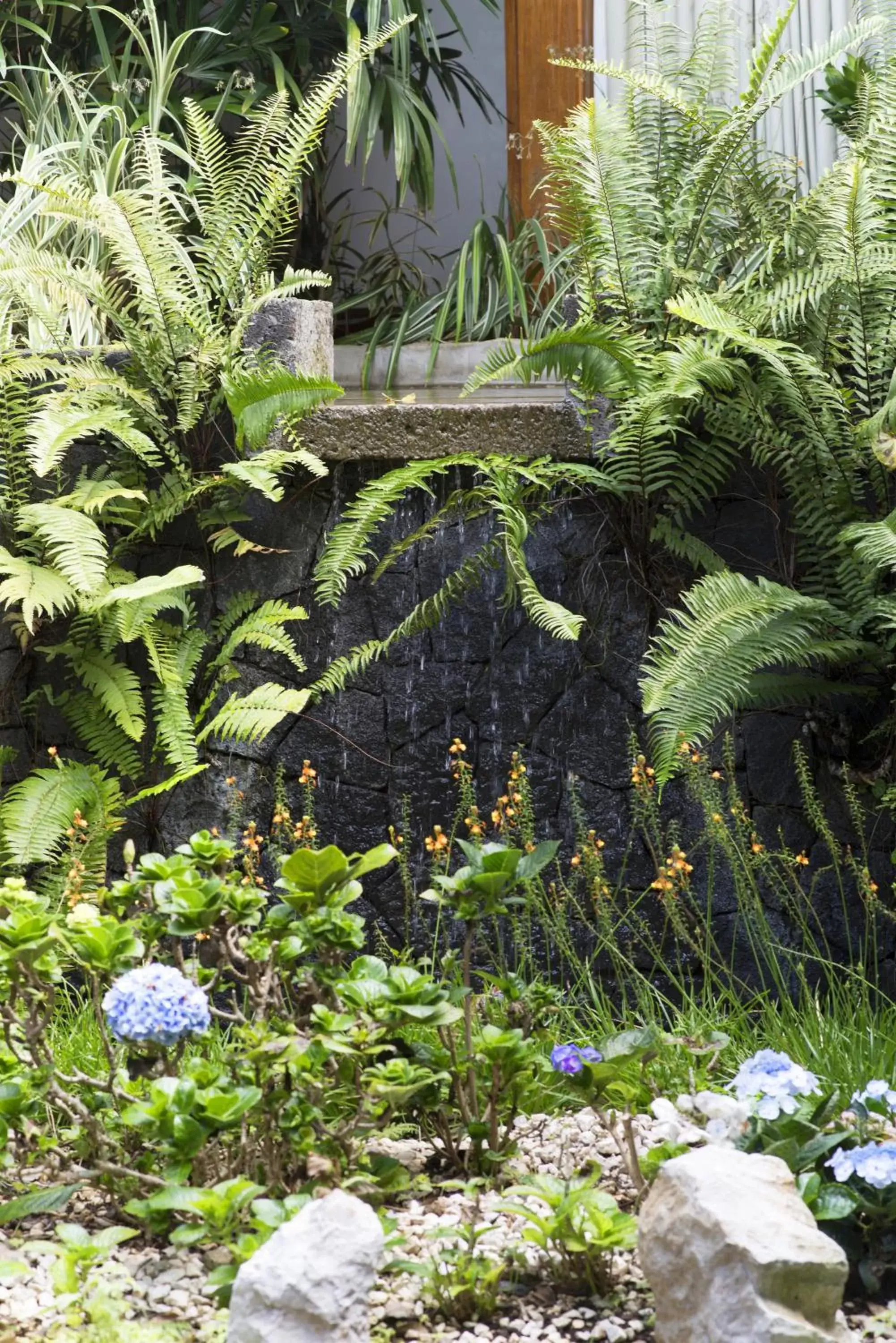 Garden in Terrazas de Golf Boutique Hotel