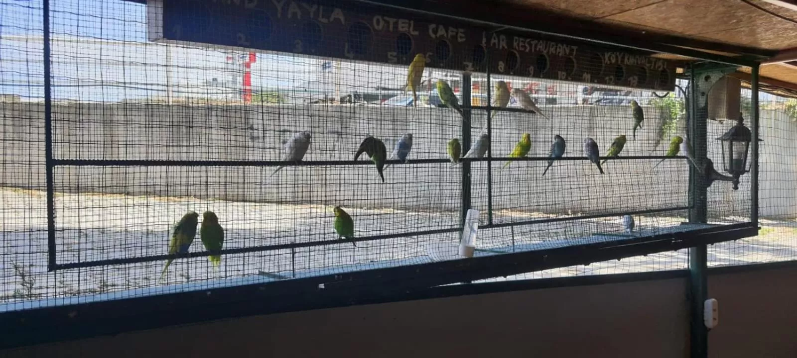 Restaurant/places to eat in Grand Yayla Hotel