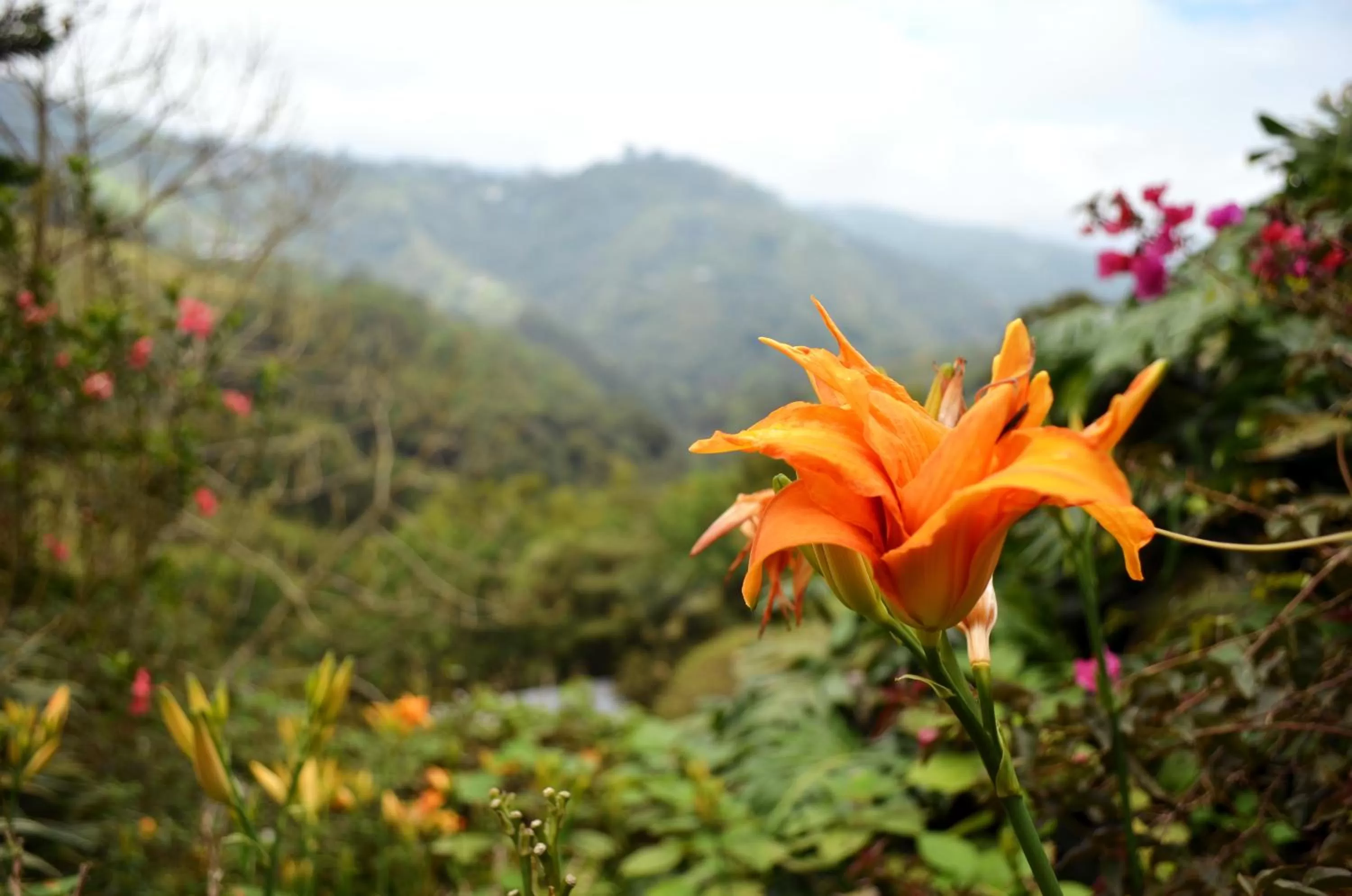 Natural landscape in Eco Lodge La Juanita