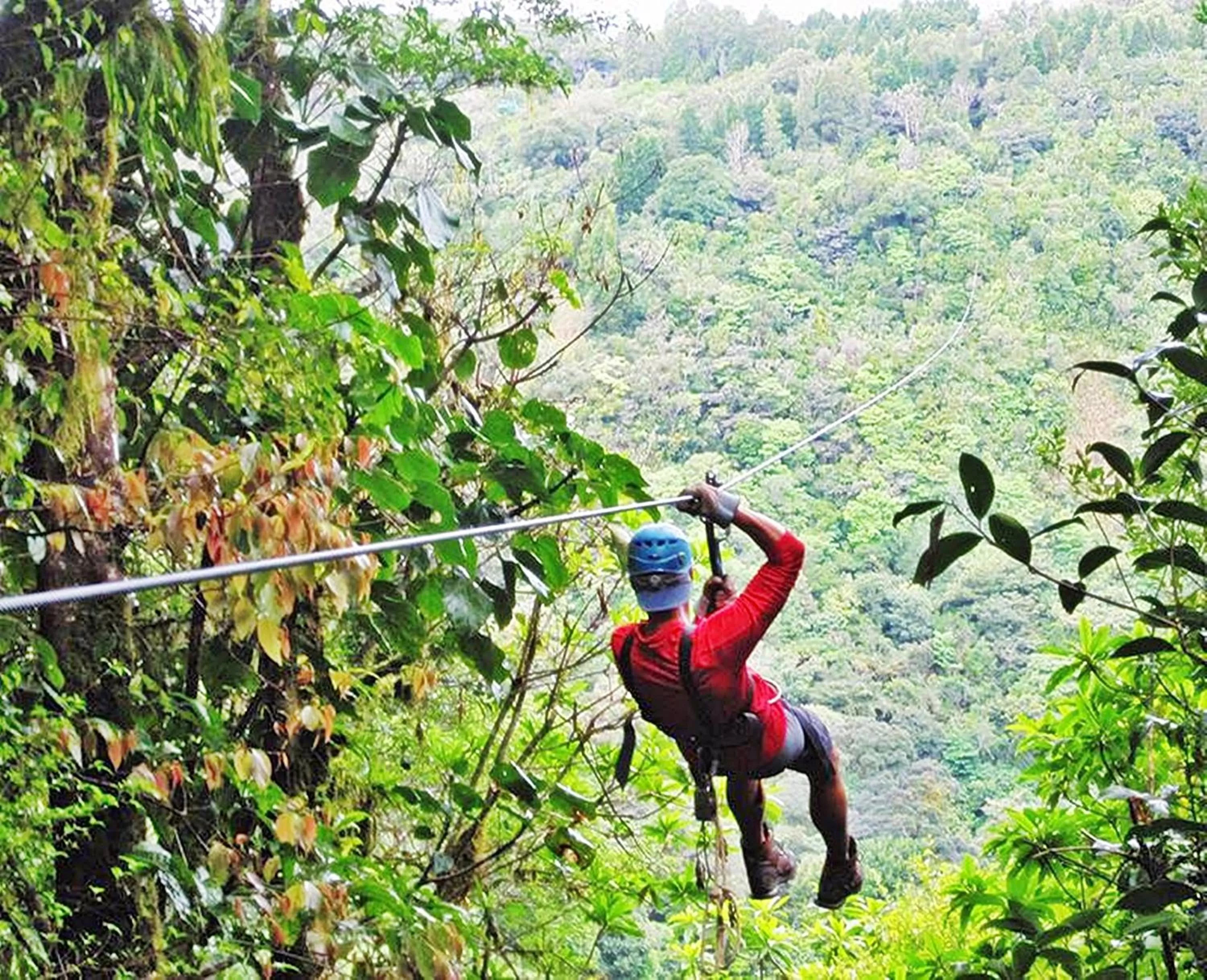 Activities in Hotel Panamonte