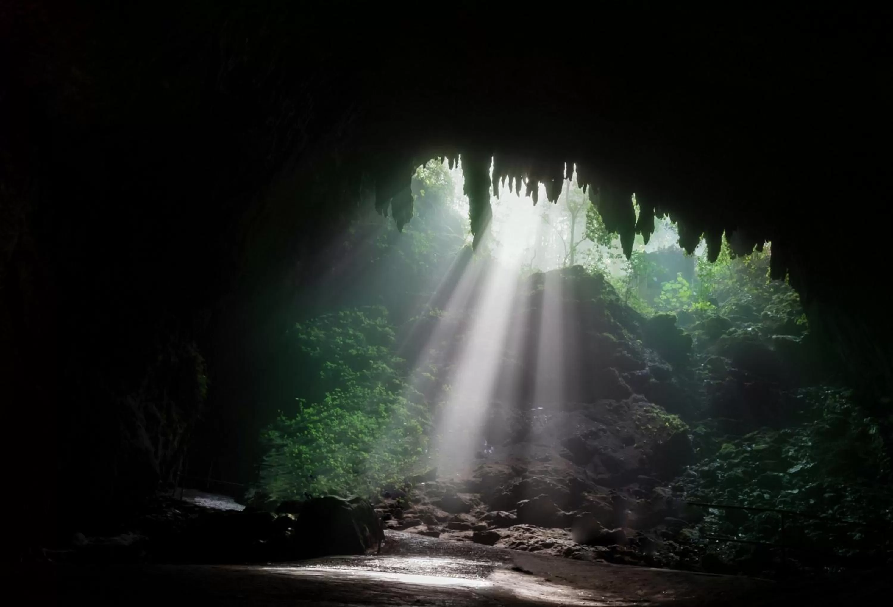 Nearby landmark, Natural Landscape in Discovery Inn & Suites at 681 Ocean Drive