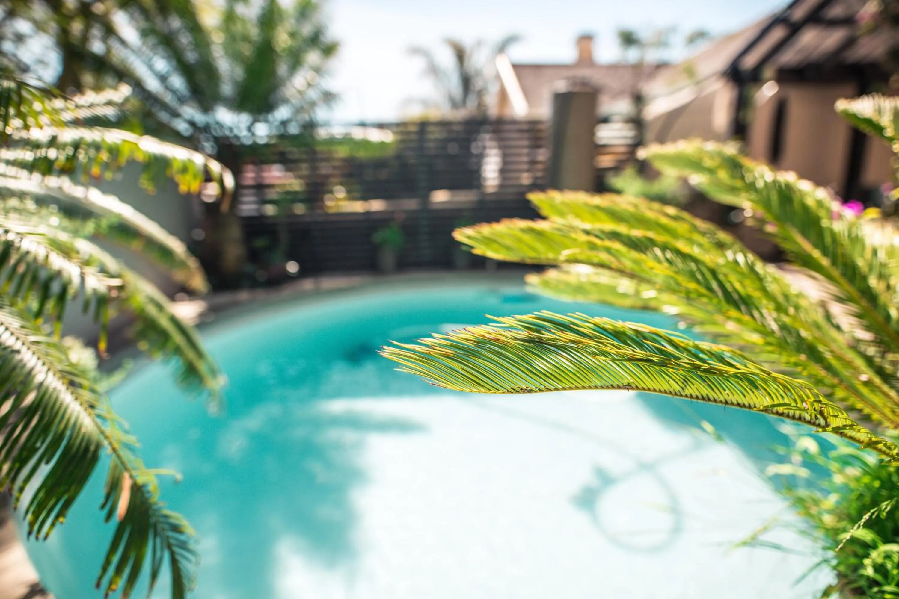 Pool view in Point B Guest House -Sustainable Solar Energy