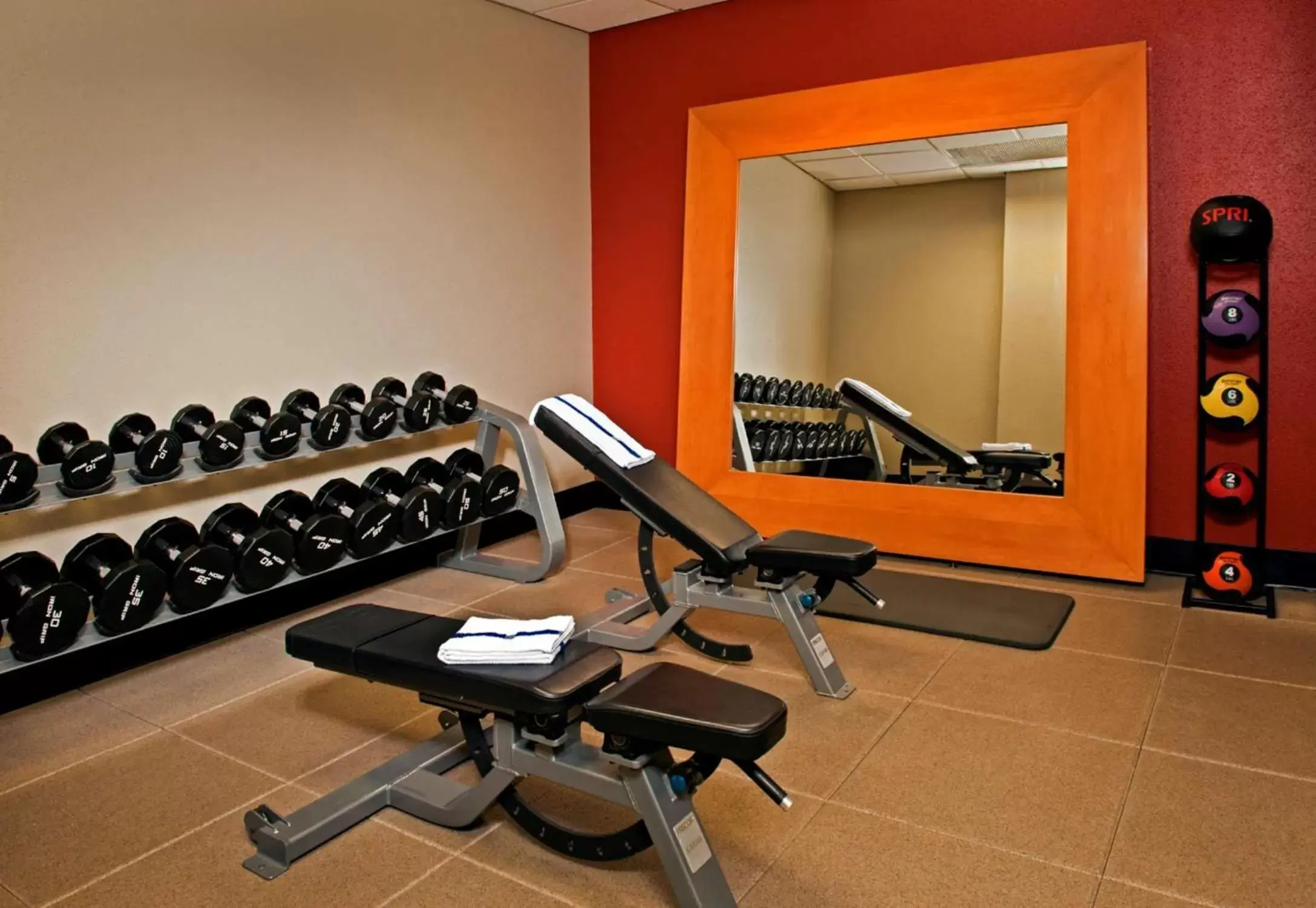 Fitness centre/facilities, Fitness Center/Facilities in Embassy Suites Baltimore - North/Hunt Valley