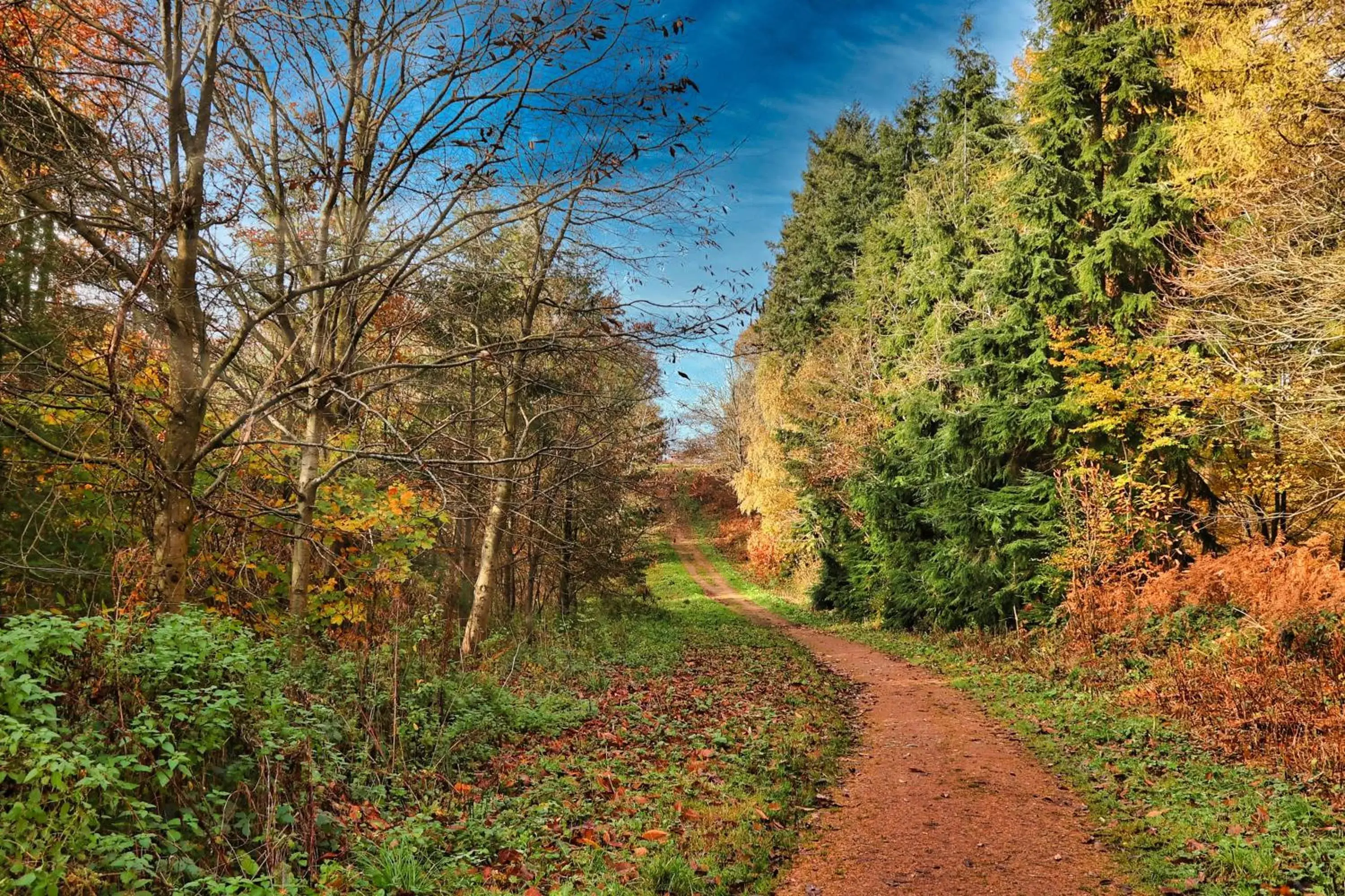 Natural landscape in Pilgrim Hotel