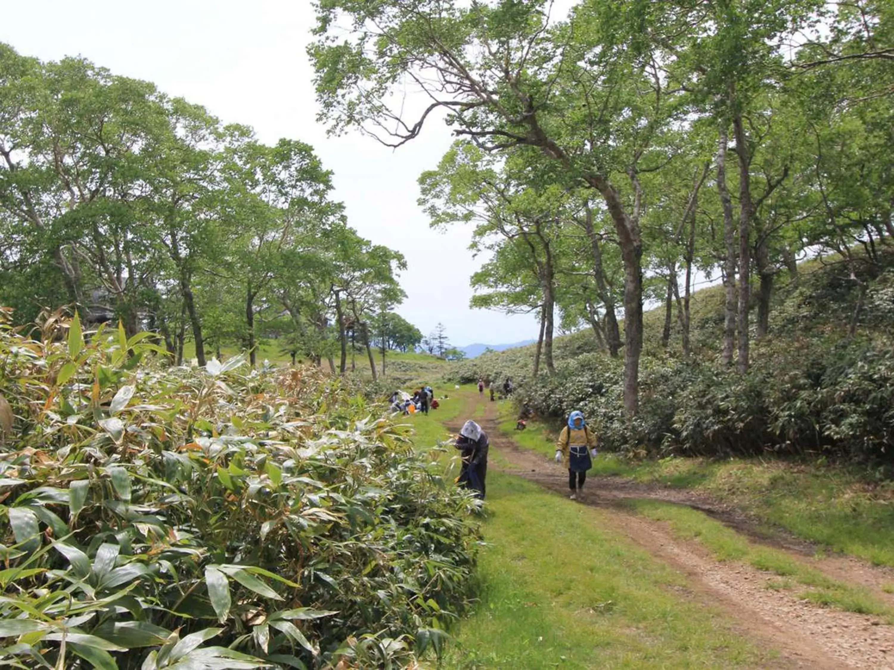 Natural landscape in Naeba Prince Hotel