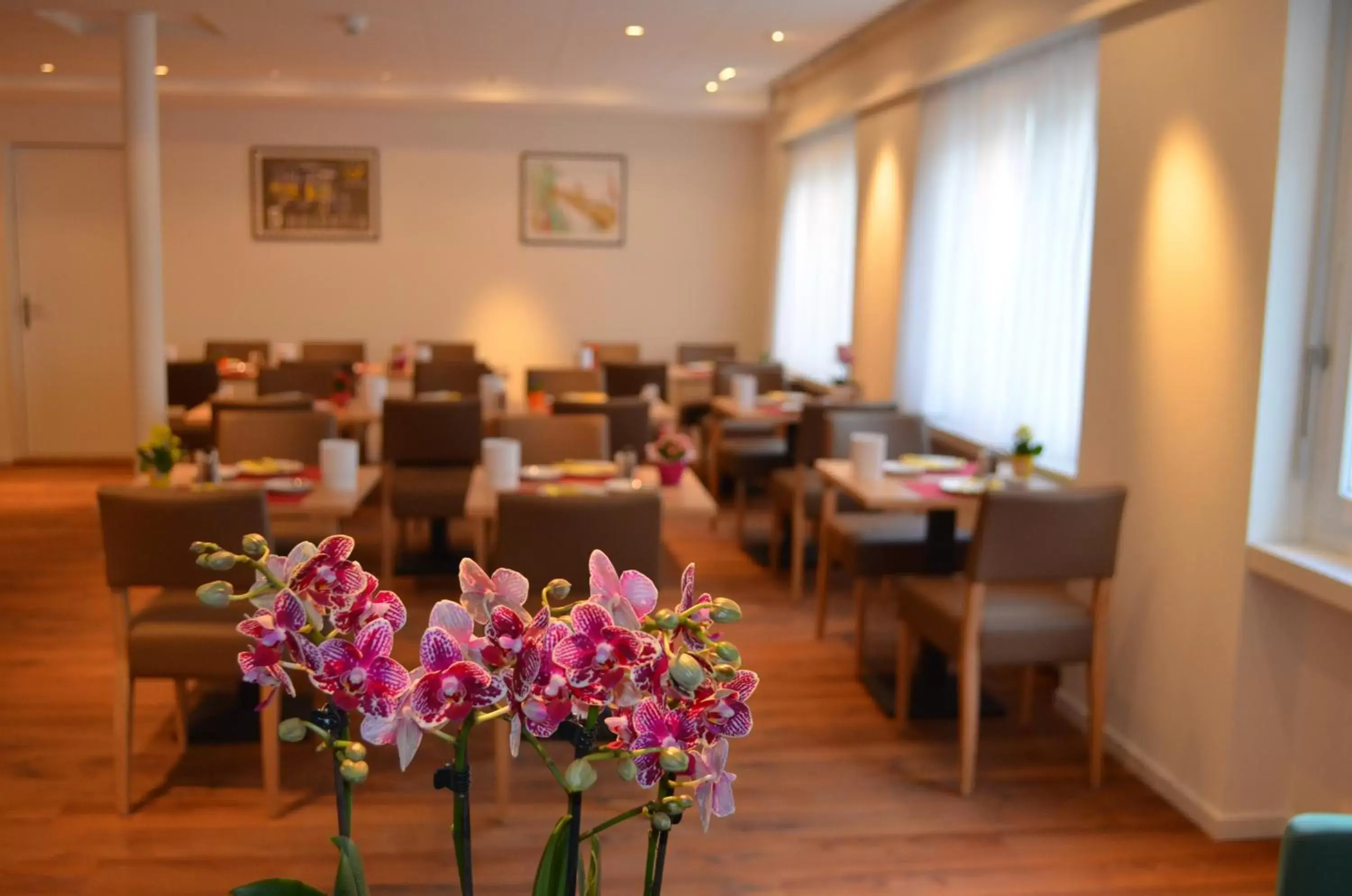 Restaurant/places to eat in Central Hotel Post Restaurant/places to eat in Central Hotel Post