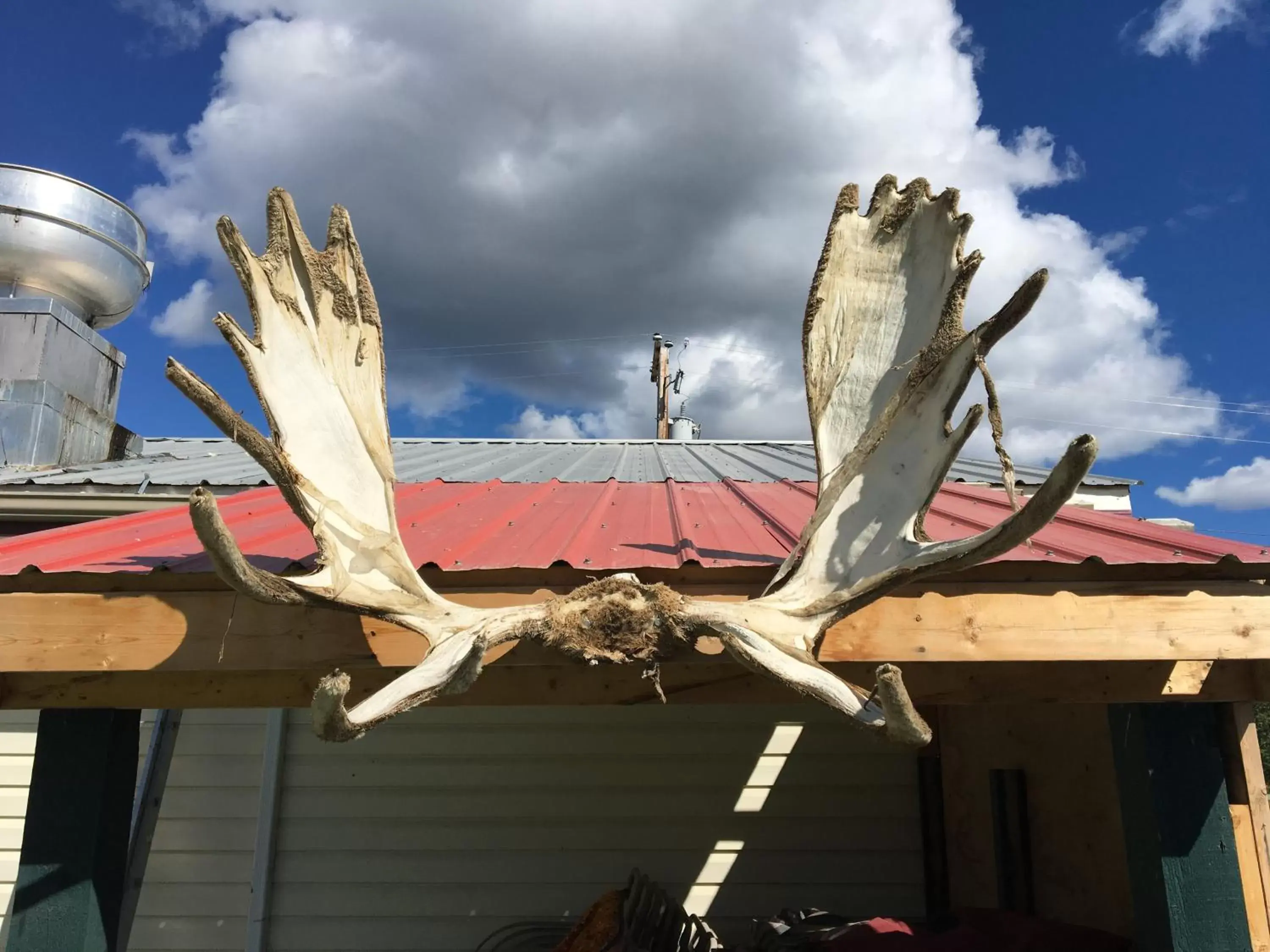 Decorative detail in Kluane Park Inn