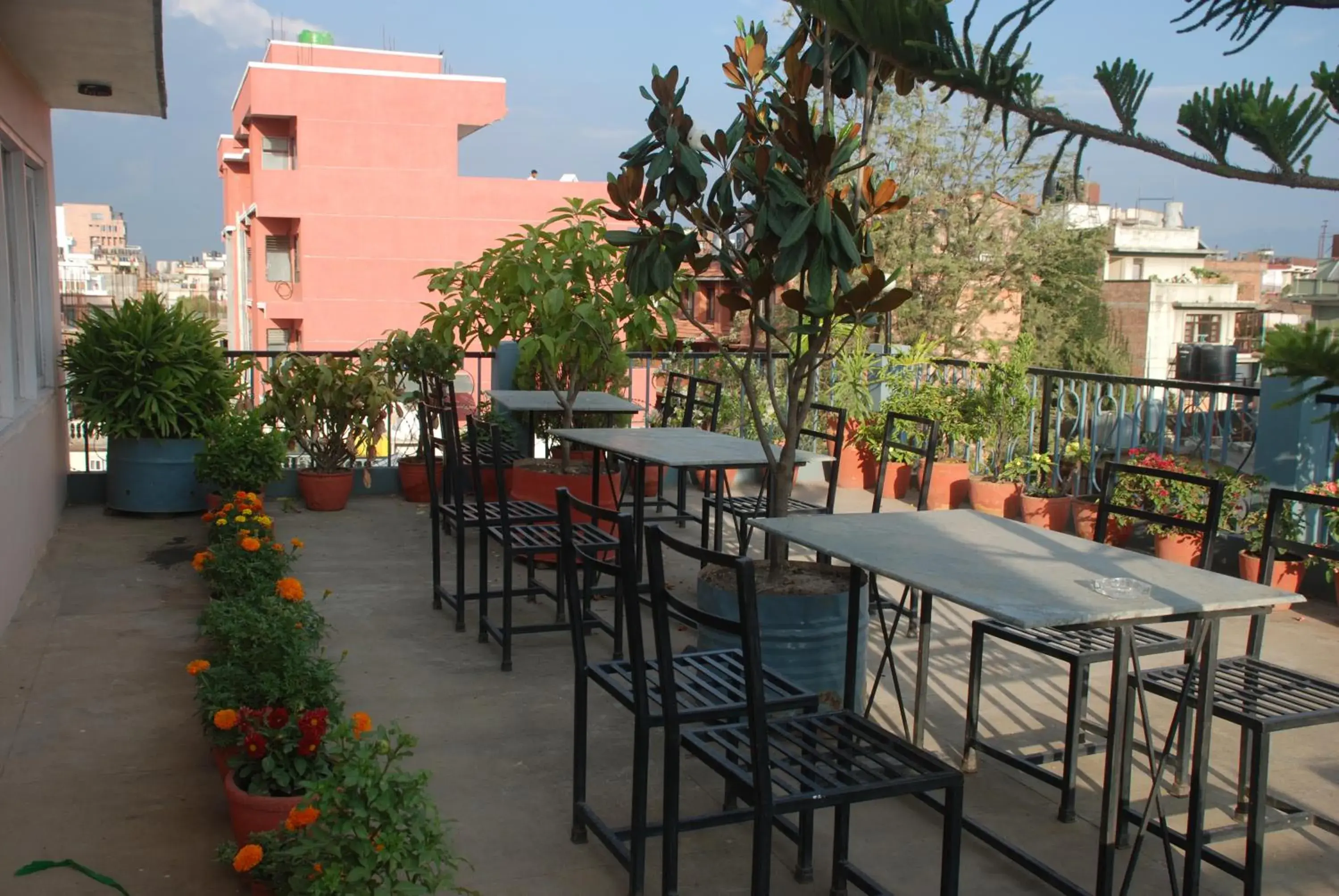 Garden, Restaurant/Places to Eat in Kathmandu Madhuban Guest House