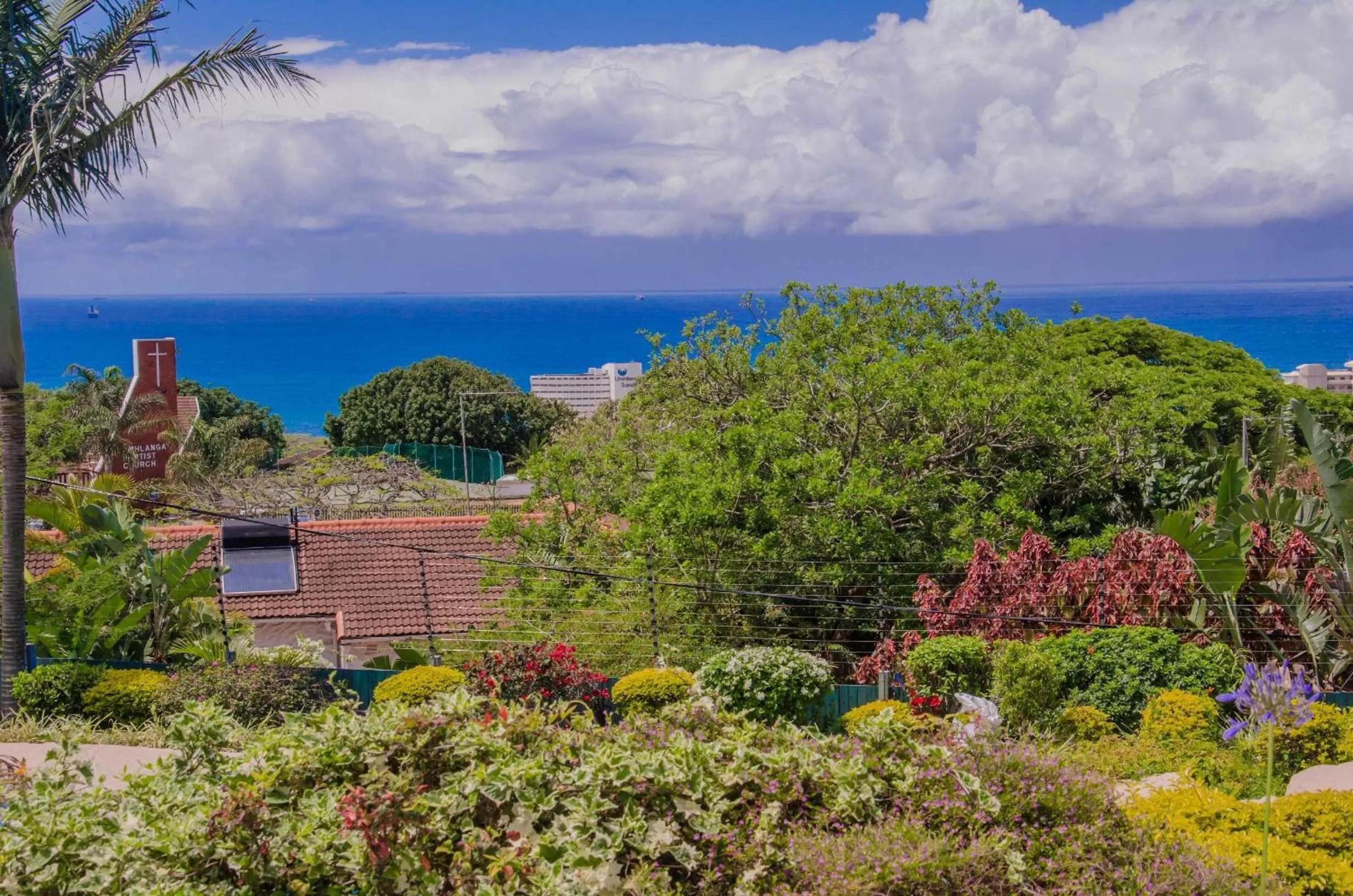 Garden in Addis Bed and Breakfast