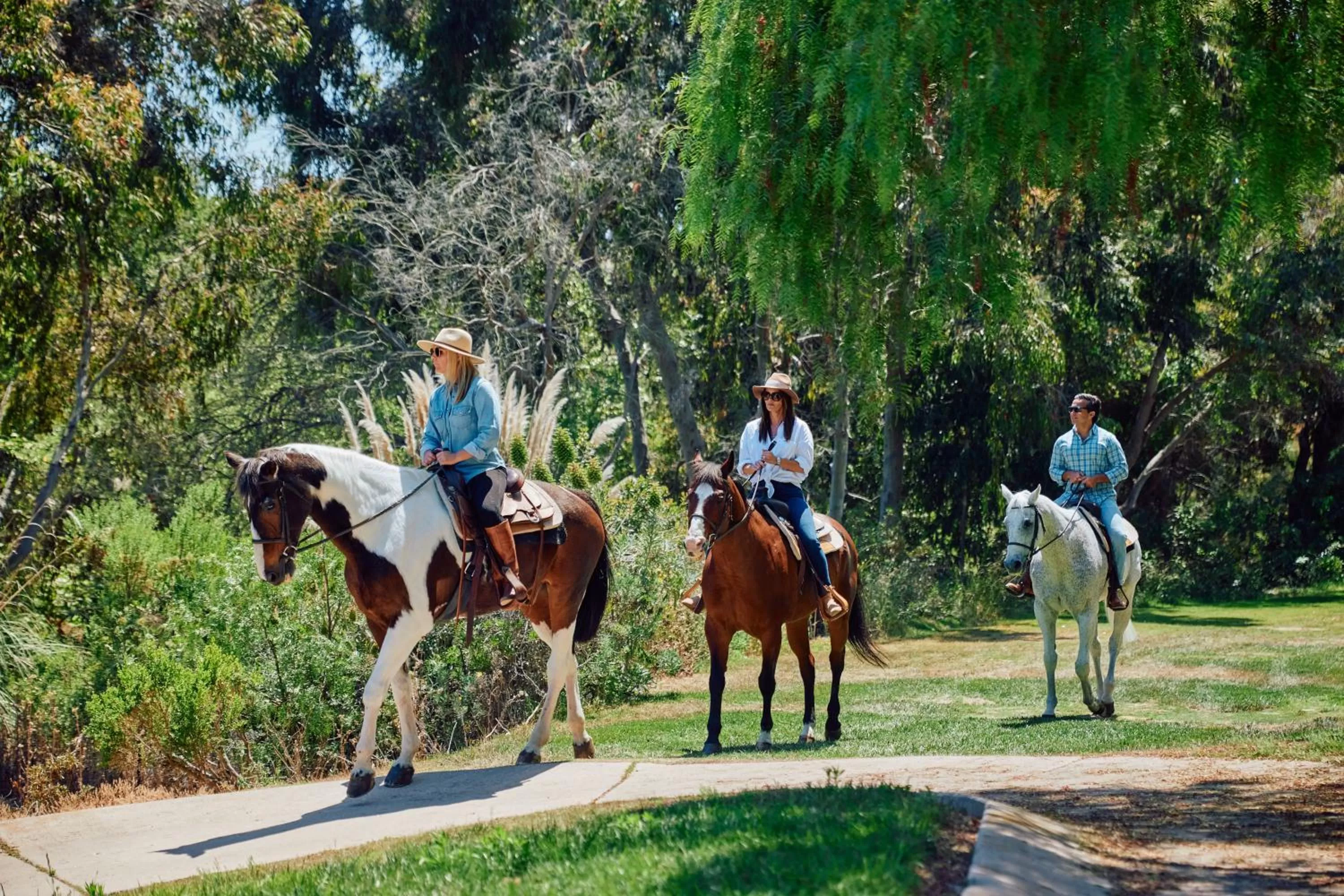 Horse-riding in Fairmont Grand Del Mar