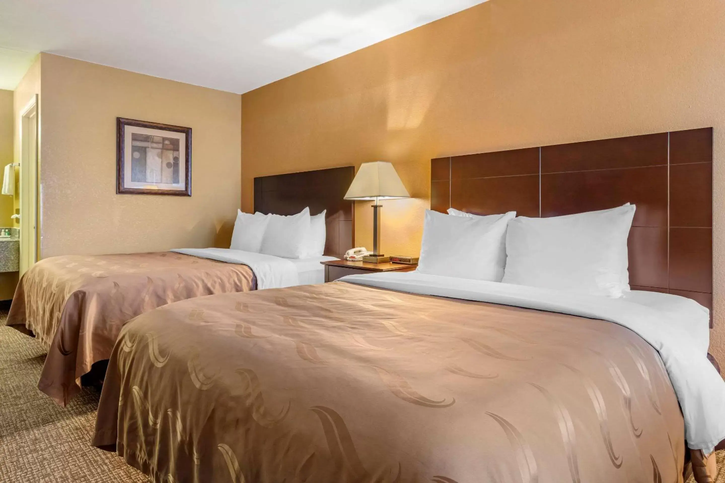 Photo of the whole room, Bed in Quality Inn Russellville I-40 Photo of the whole room, Bed in Quality Inn Russellville I-40