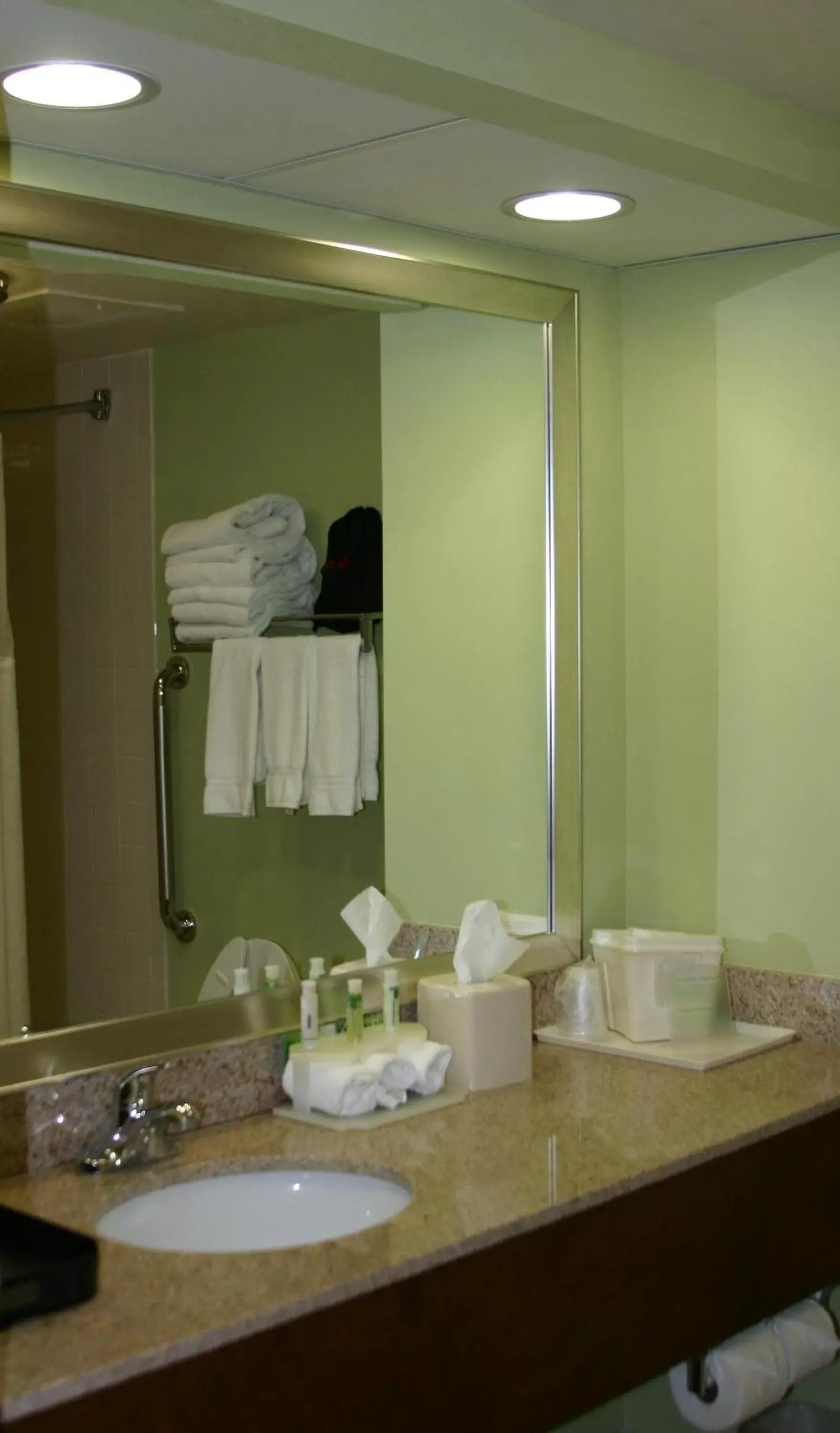 Bathroom in Holiday Inn Express Greenville, an IHG Hotel