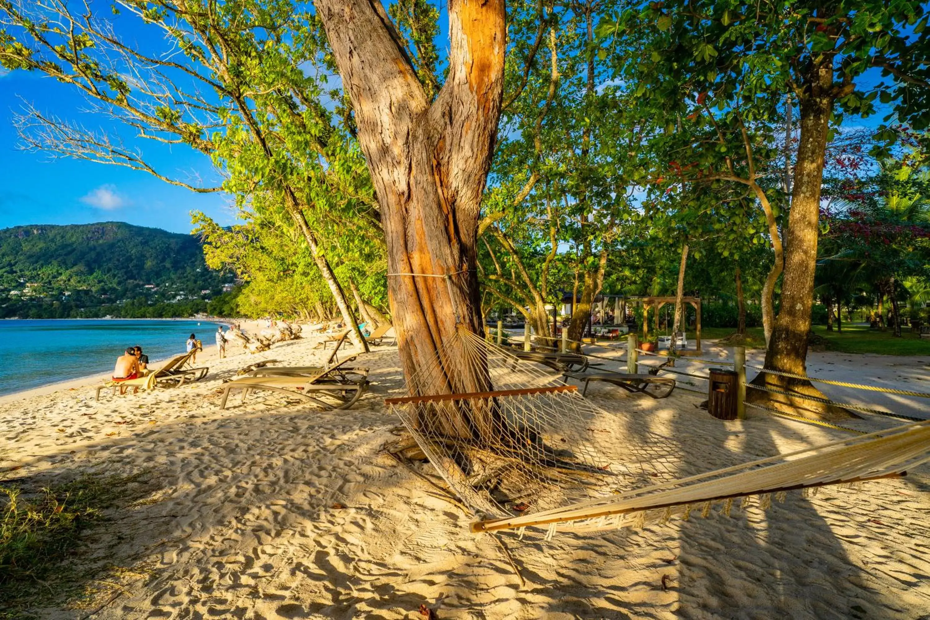 Beach, Swimming Pool in STORY Seychelles