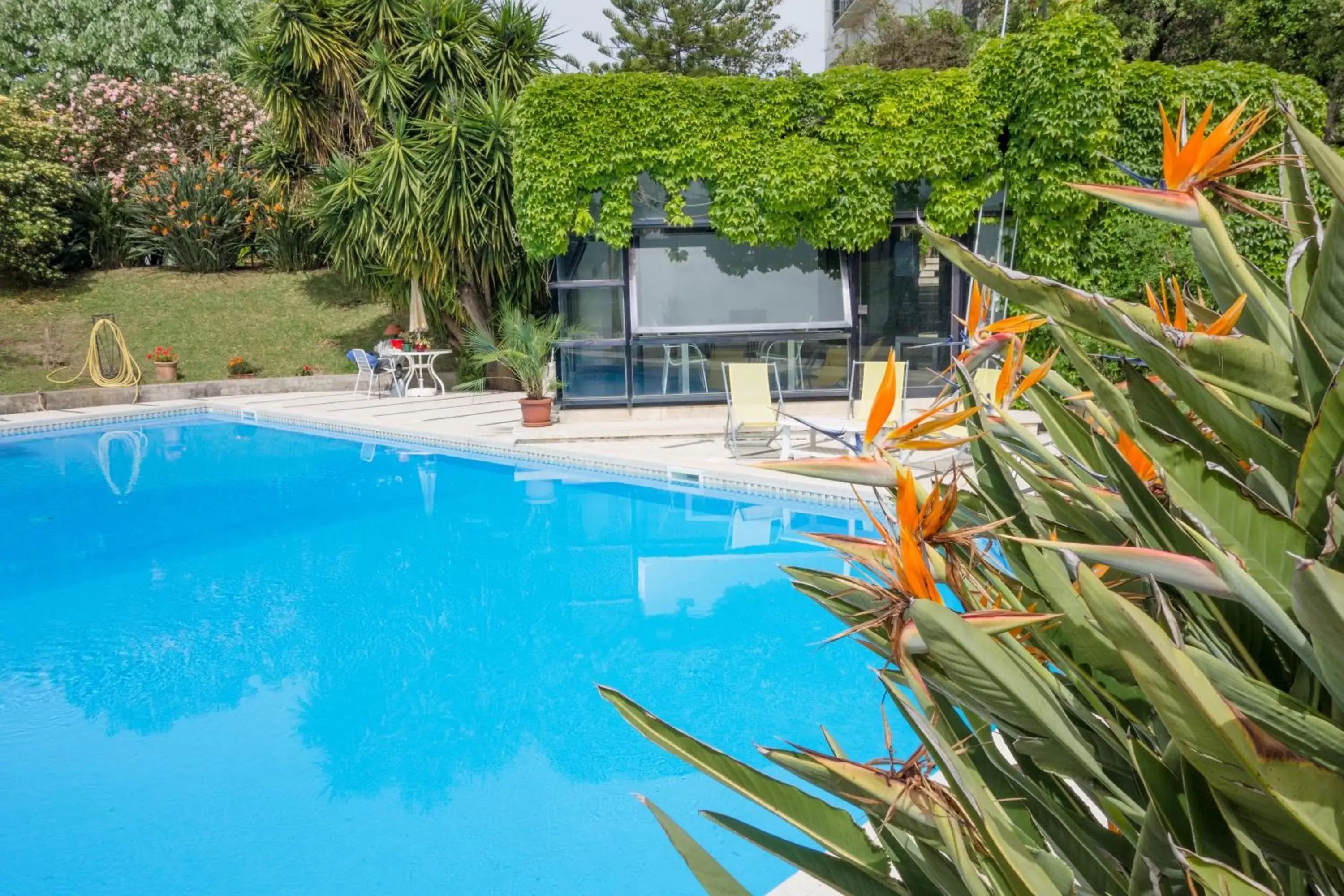 Swimming Pool in B&B Casina de Goyzueta